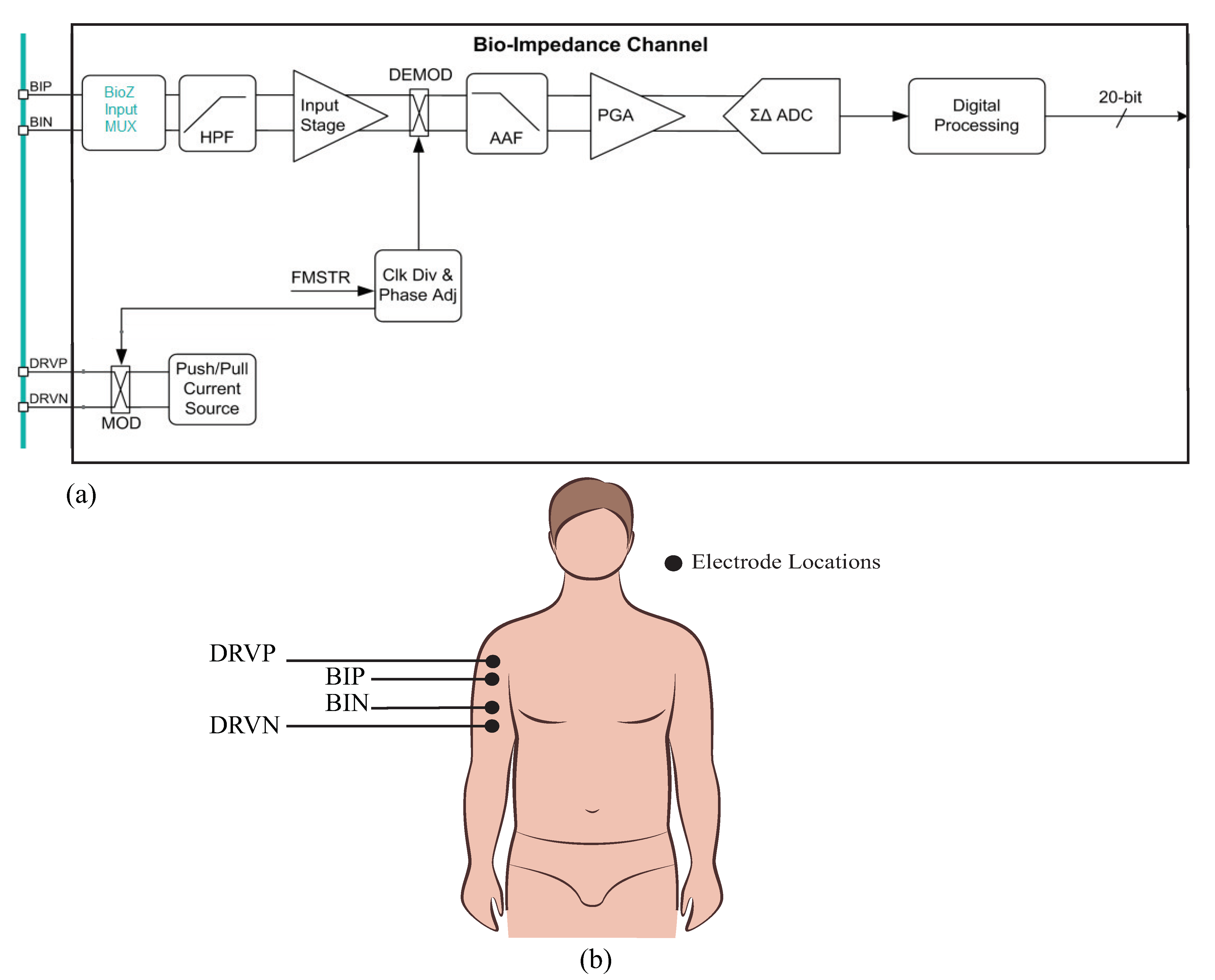 Sensors 21 03013 g001