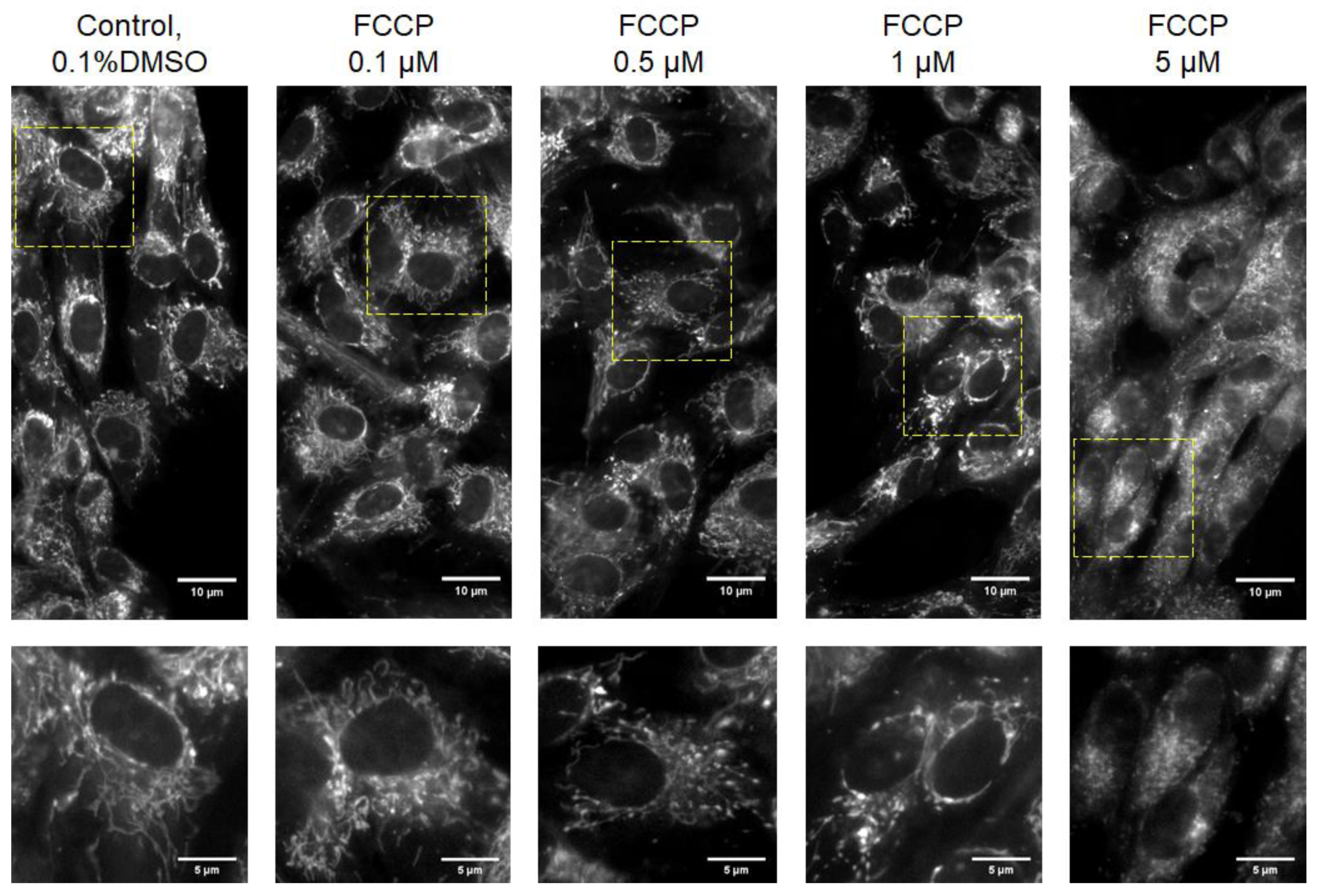 Sensors 21 03017 g004