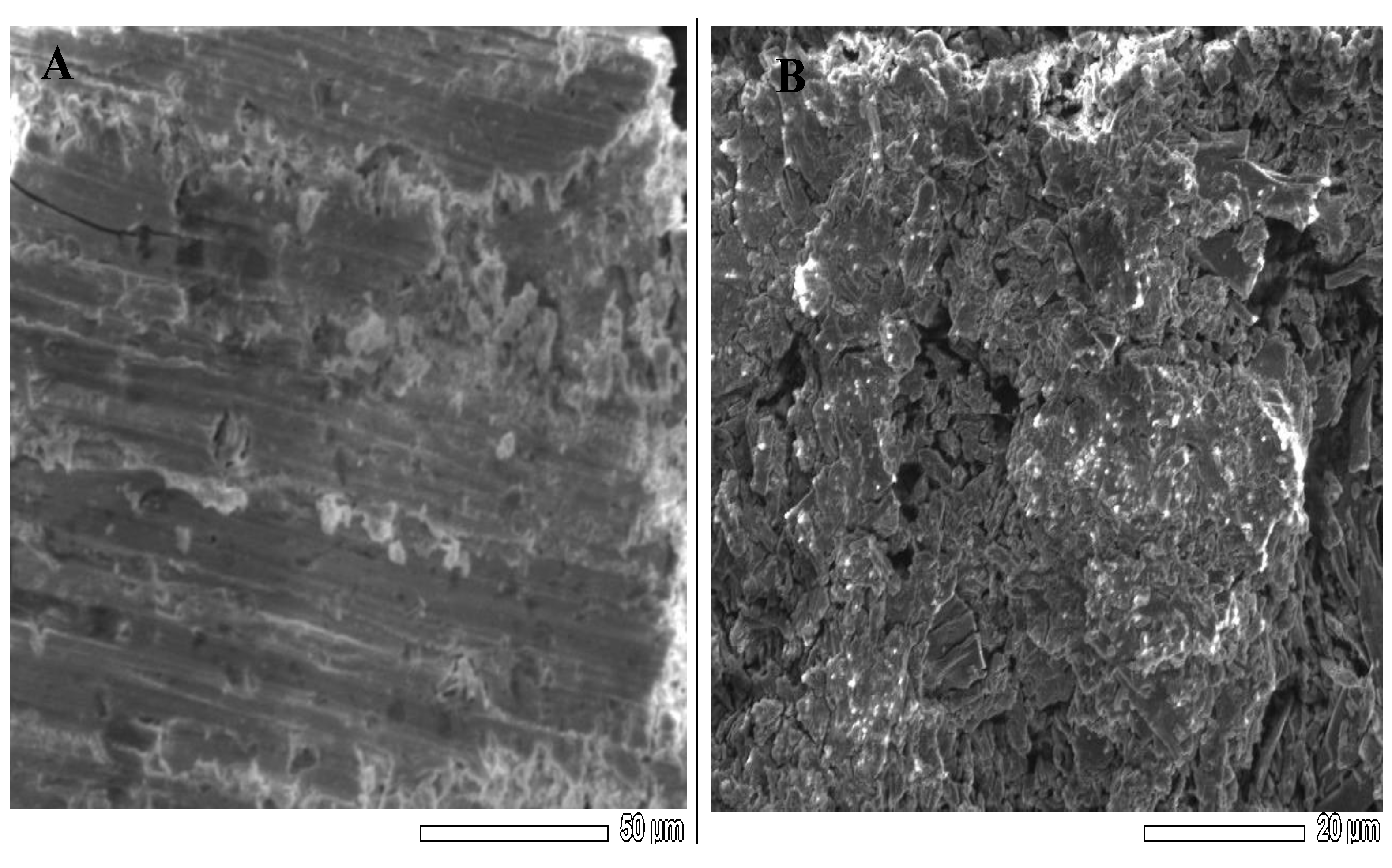 Sensors 21 03020 g004