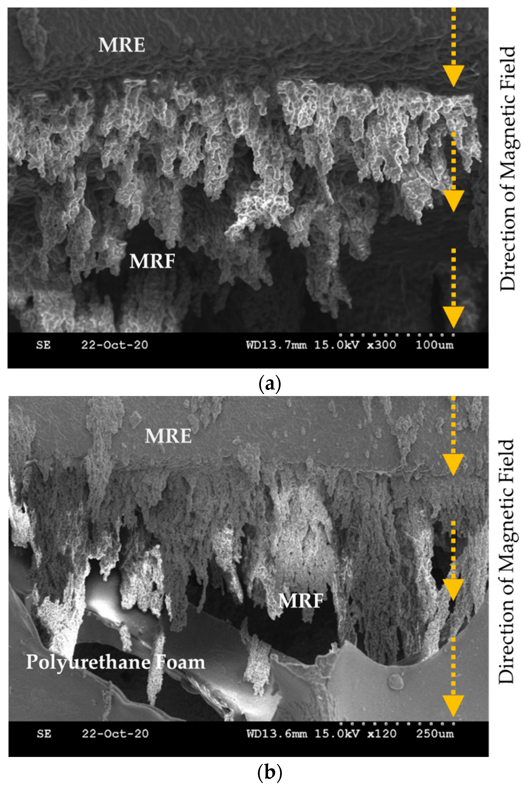 Sensors 21 03034 g007a