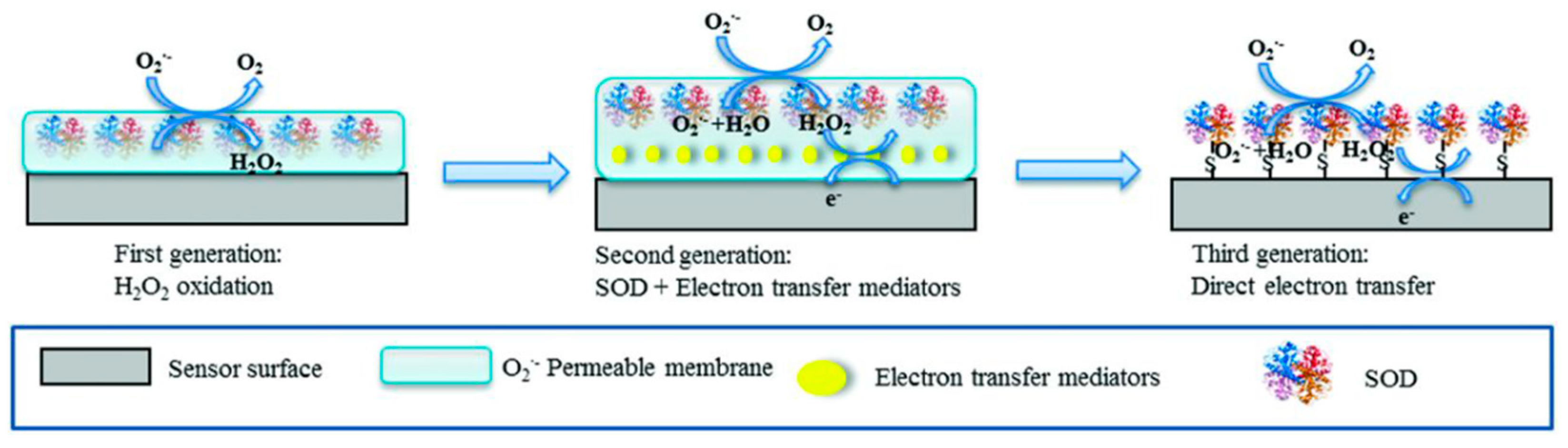 Sensors 21 03038 g001