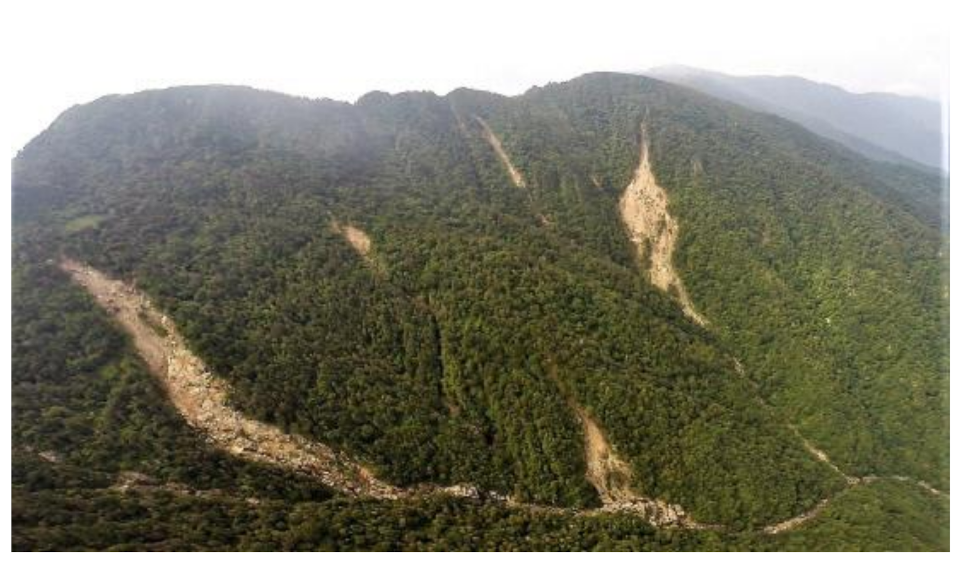 Sensors 21 03040 g006