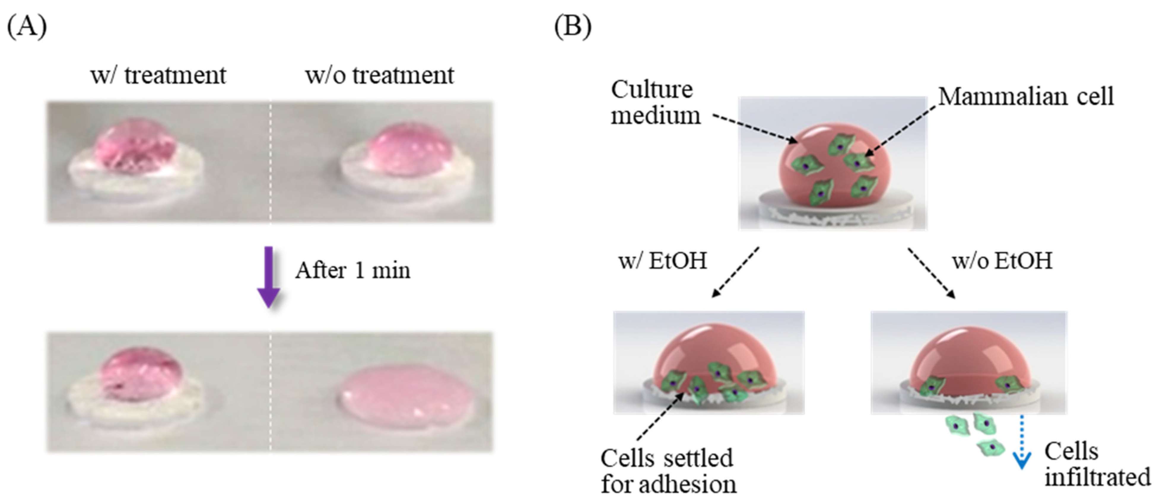 Sensors 21 03042 g003