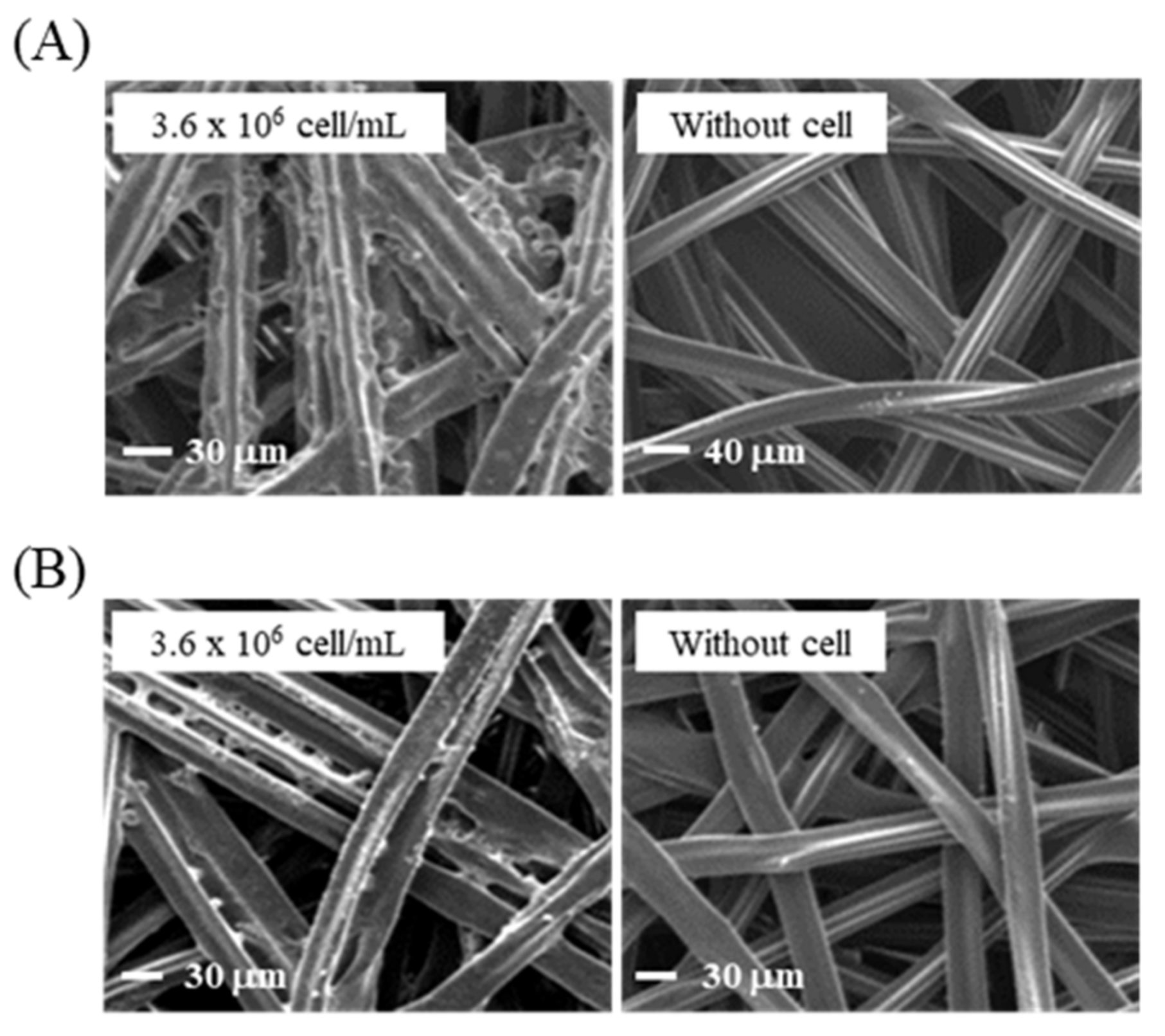 Sensors 21 03042 g004