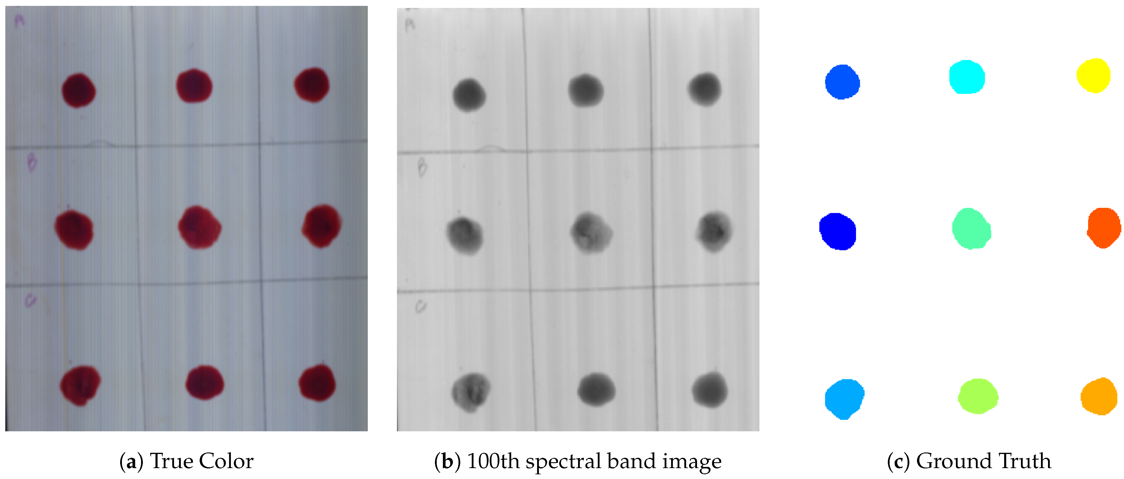 Sensors 21 03045 g001