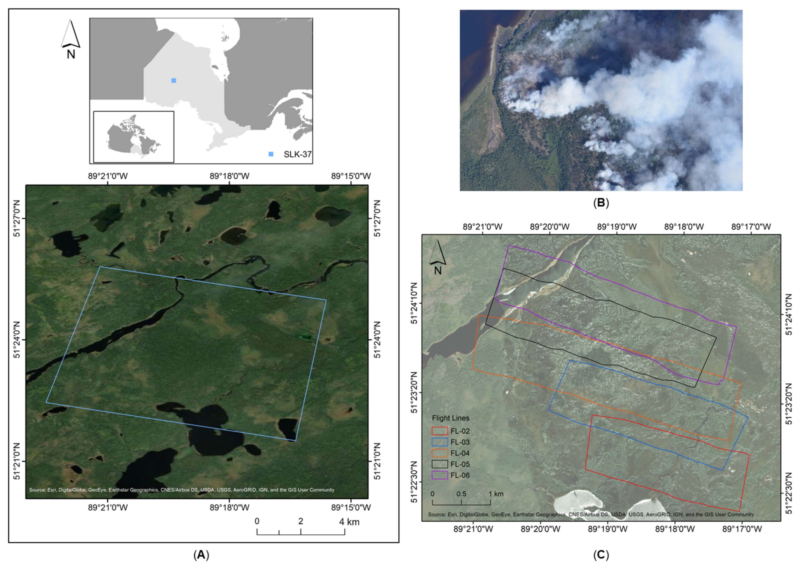 Sensors 21 03047 g001