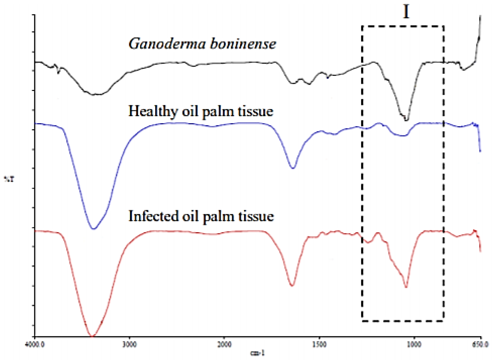 Sensors 21 03052 g002