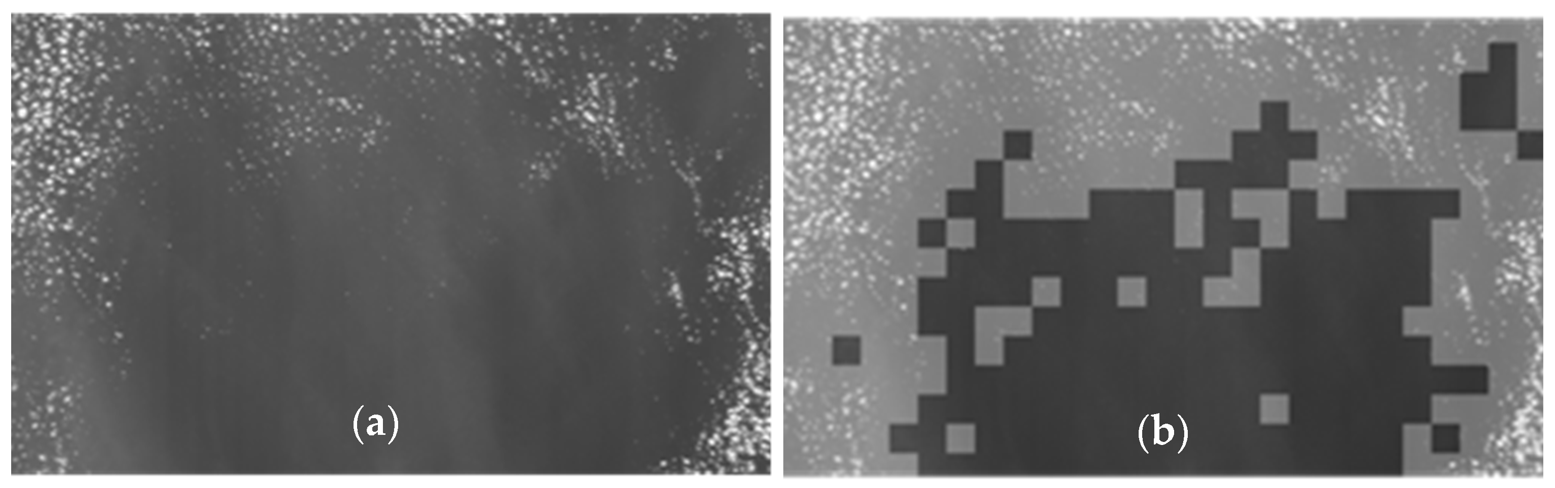 Sensors 21 03062 g005