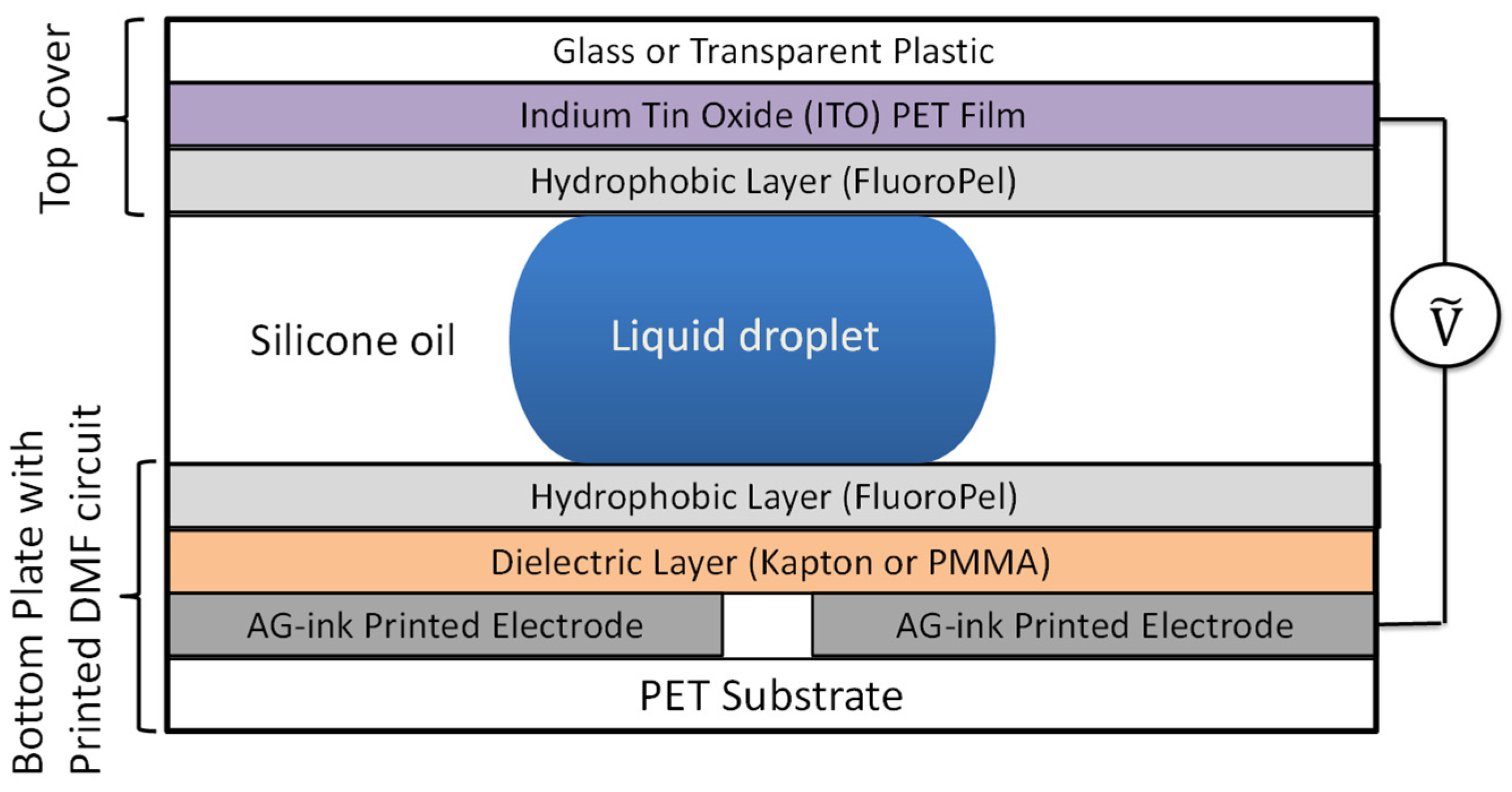 Sensors 21 03064 g001