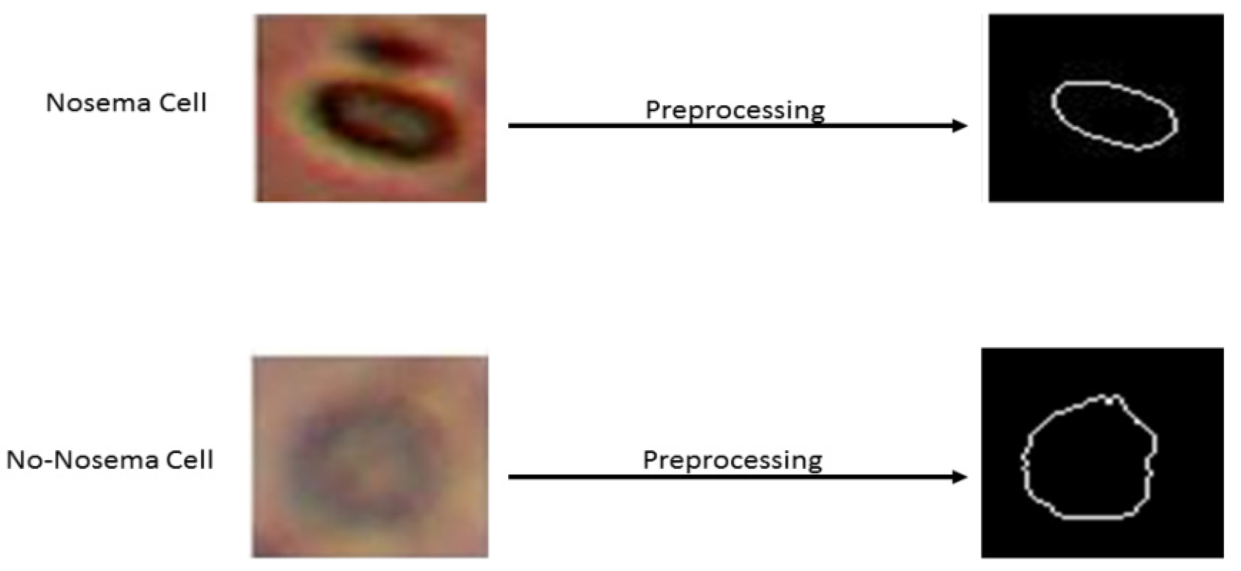 Sensors 21 03068 g003