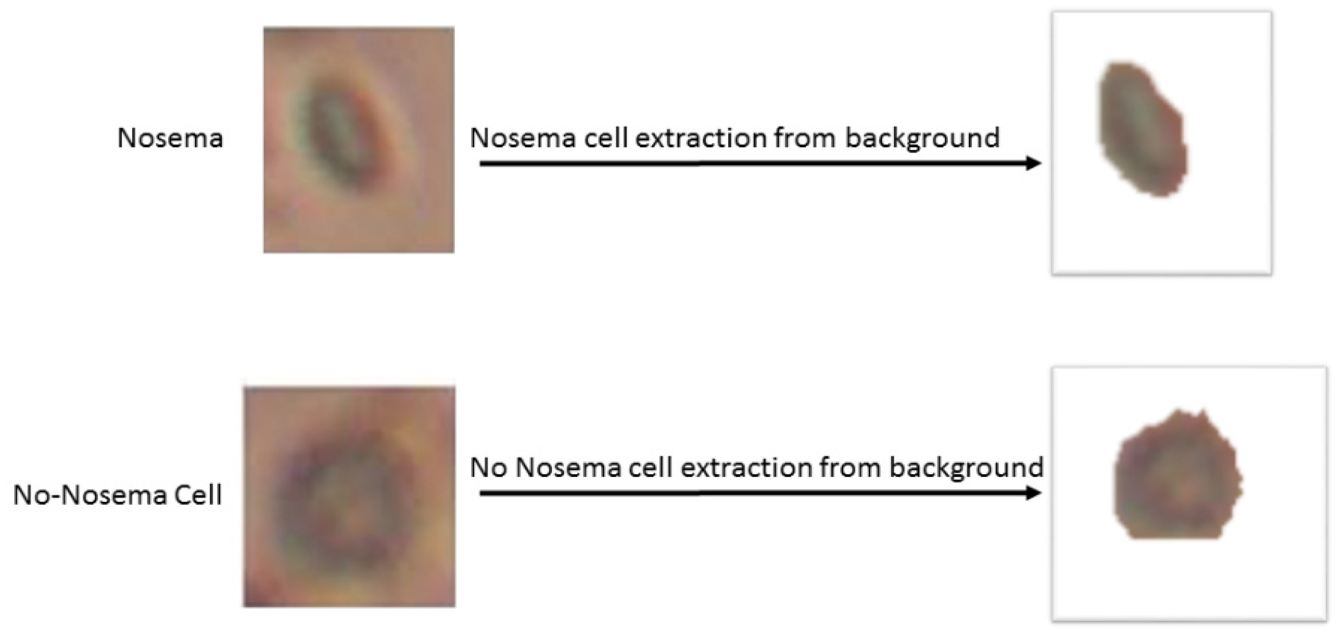 Sensors 21 03068 g004
