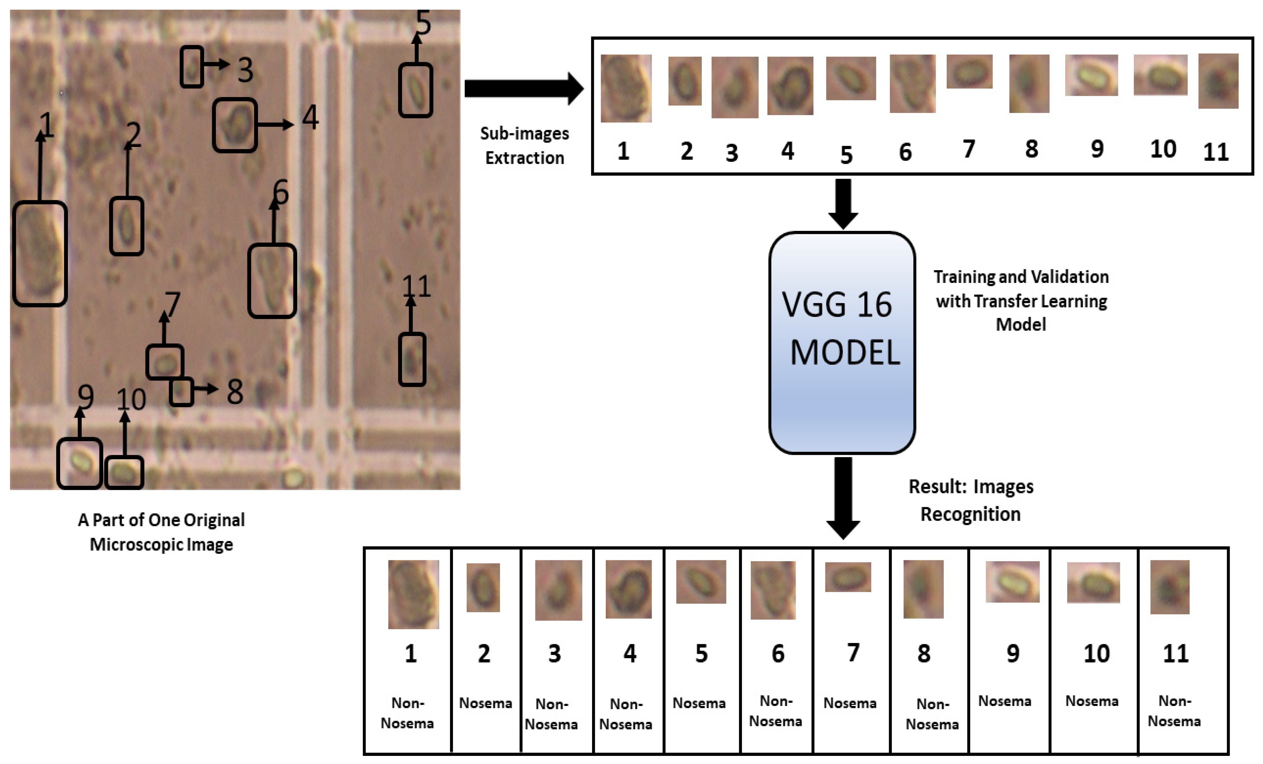 Sensors 21 03068 g007
