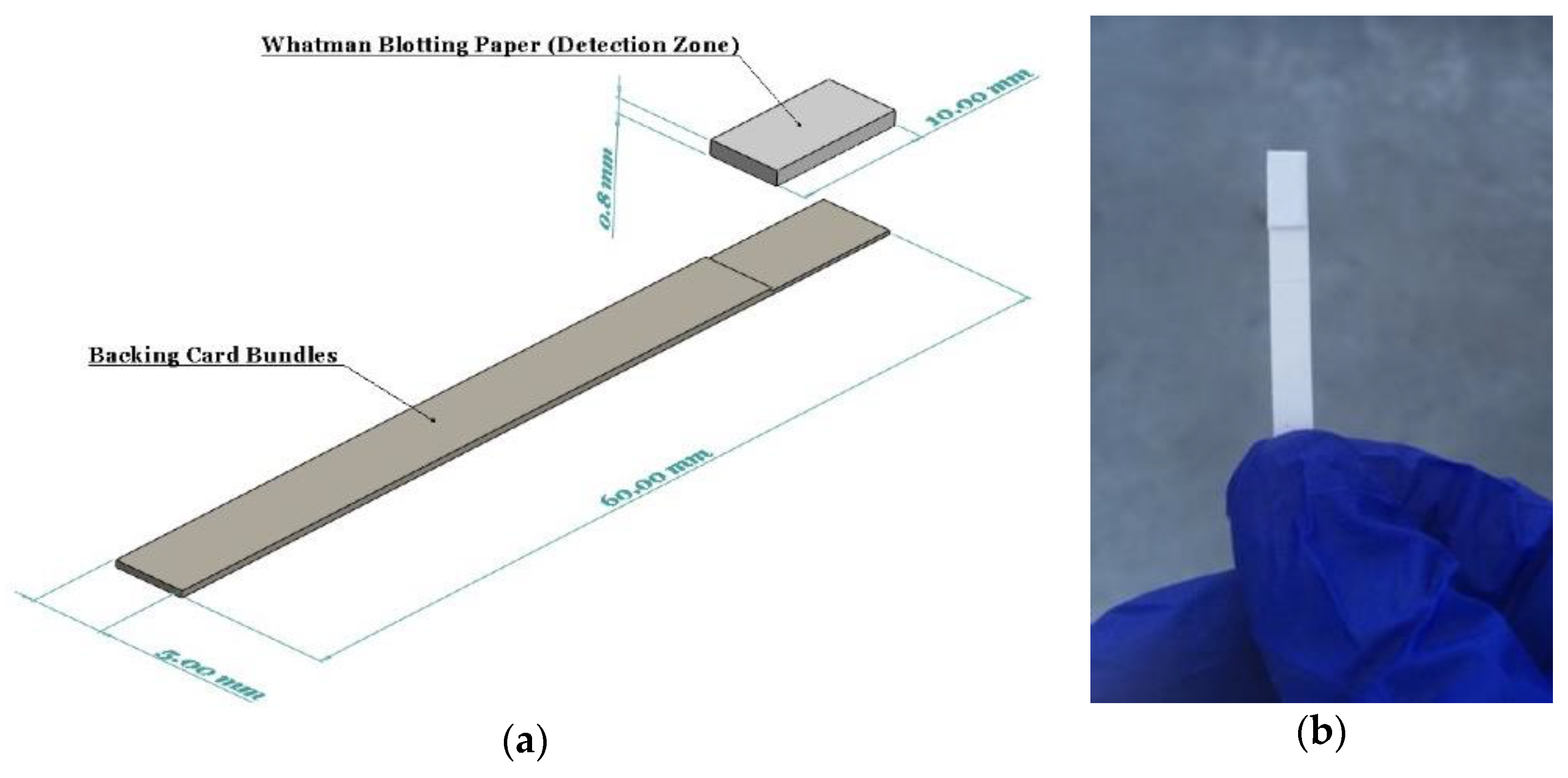 Sensors 21 03125 g001