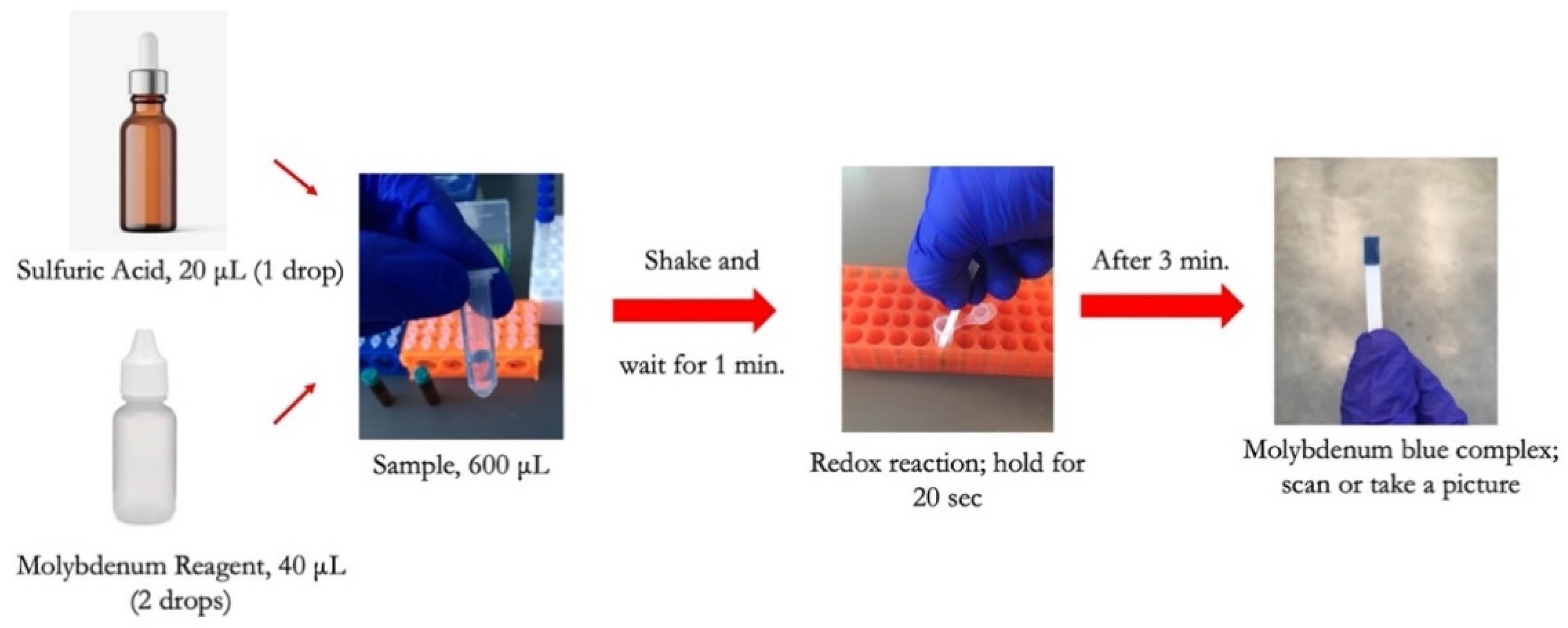 Sensors 21 03125 g002