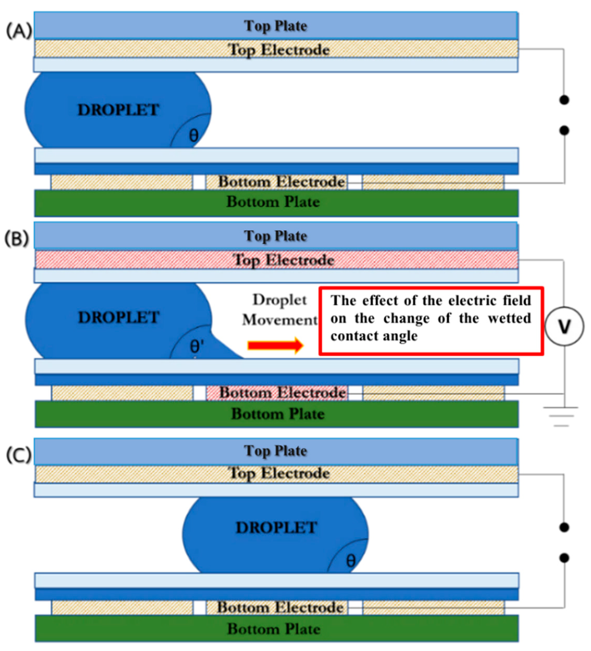 Sensors 21 03126 g002 Sensors 21 03126 g002