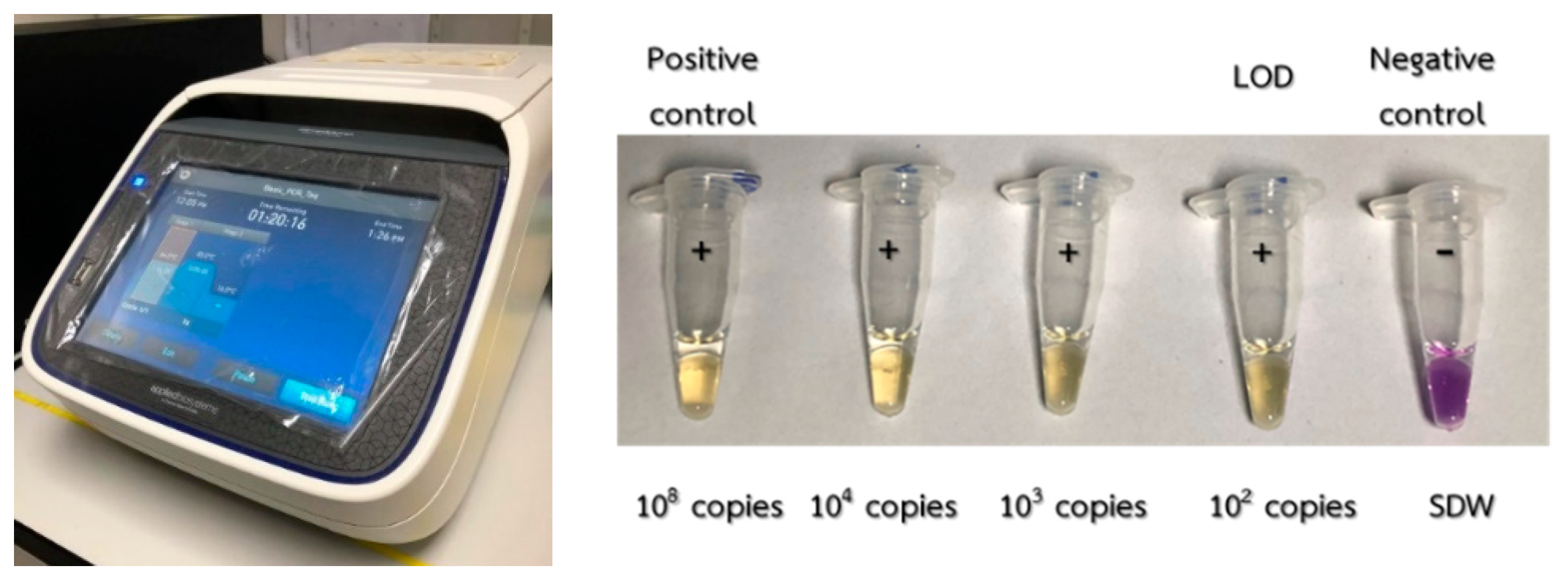 Sensors 21 03126 g015 Sensors 21 03126 g015