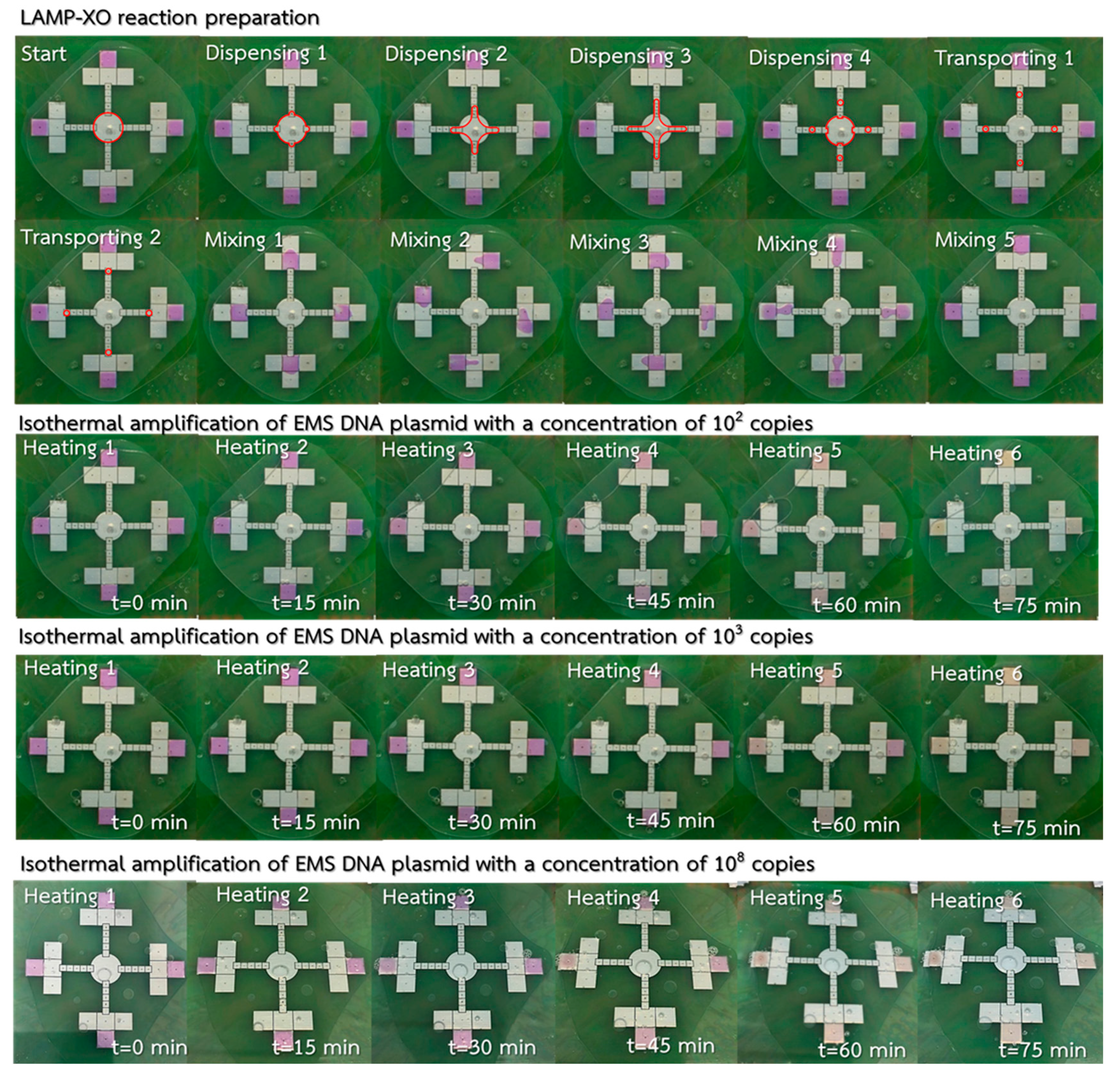 Sensors 21 03126 g016 Sensors 21 03126 g016