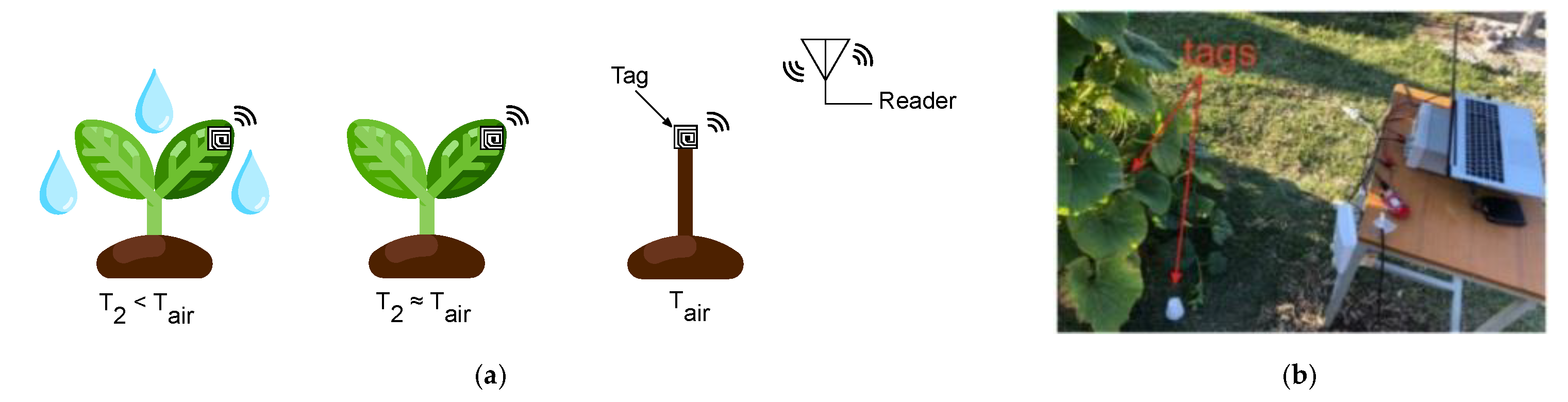 Sensors 21 03138 g012