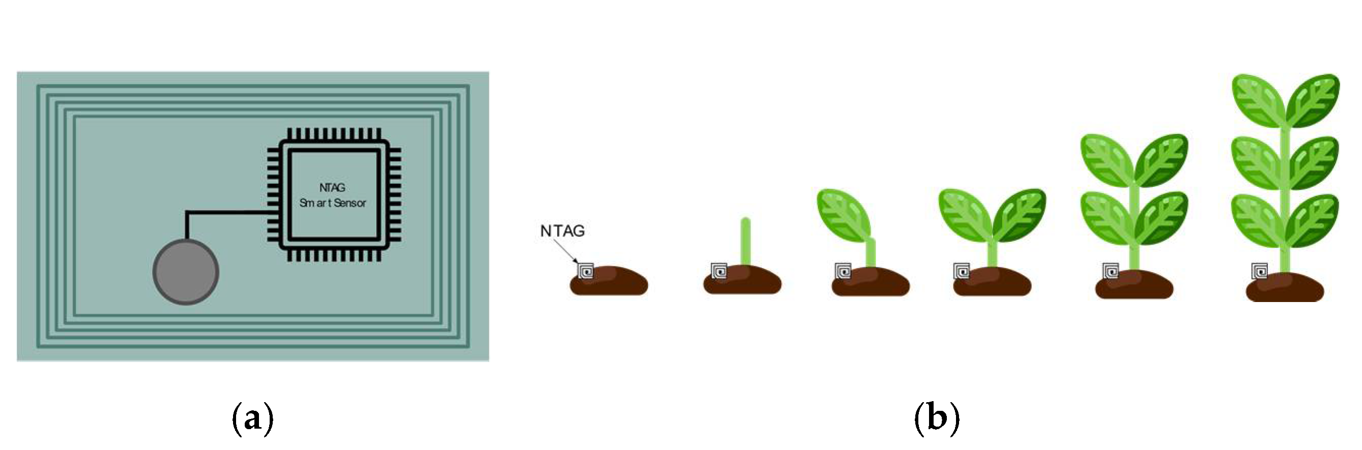 Sensors 21 03138 g017