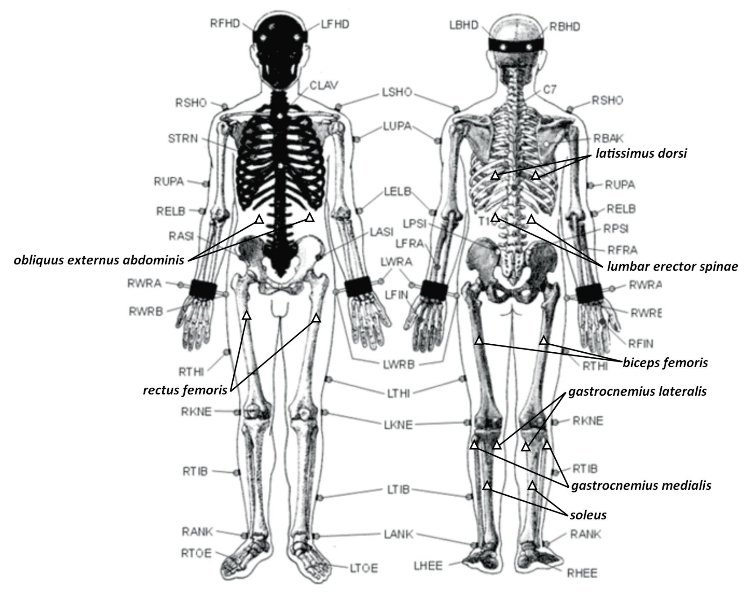 Sensors 21 03142 g002 Sensors 21 03142 g002