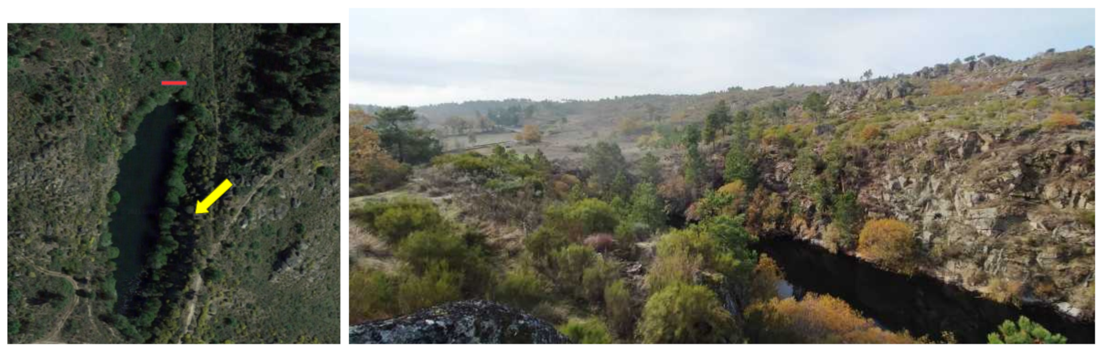 Sensors 21 03143 g017