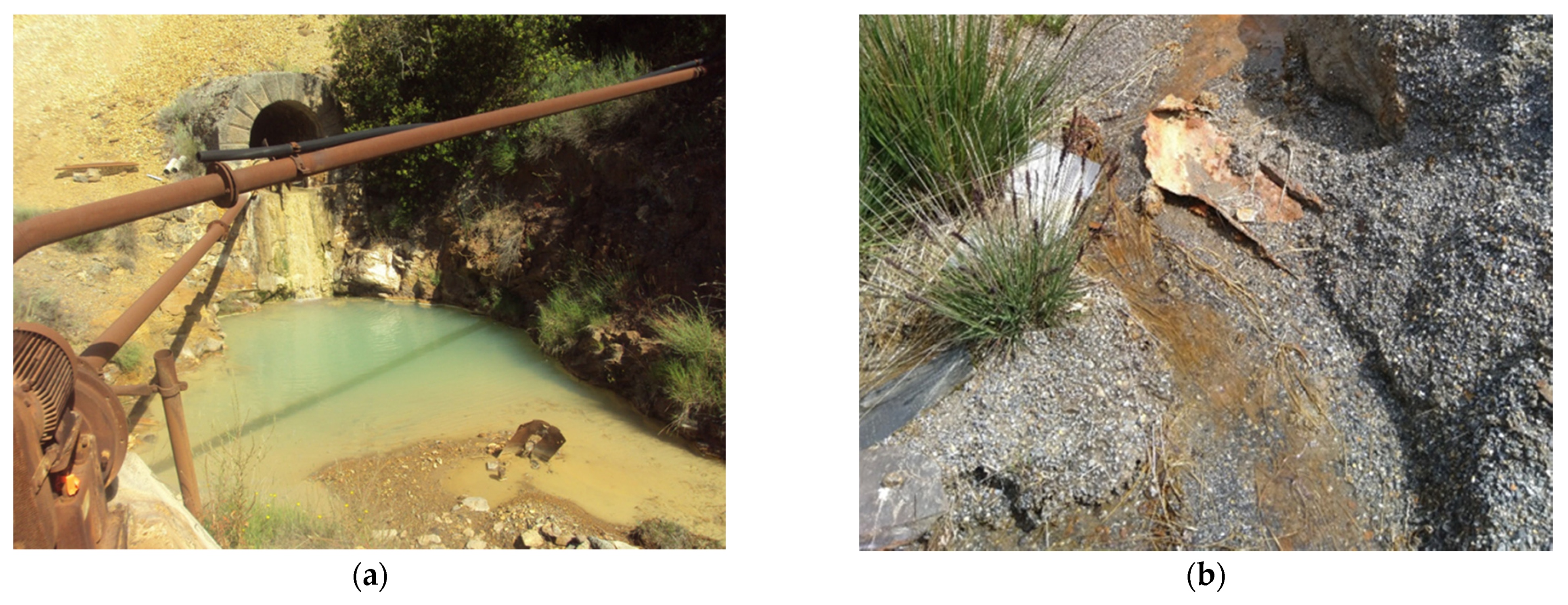 Sensors 21 03147 g001