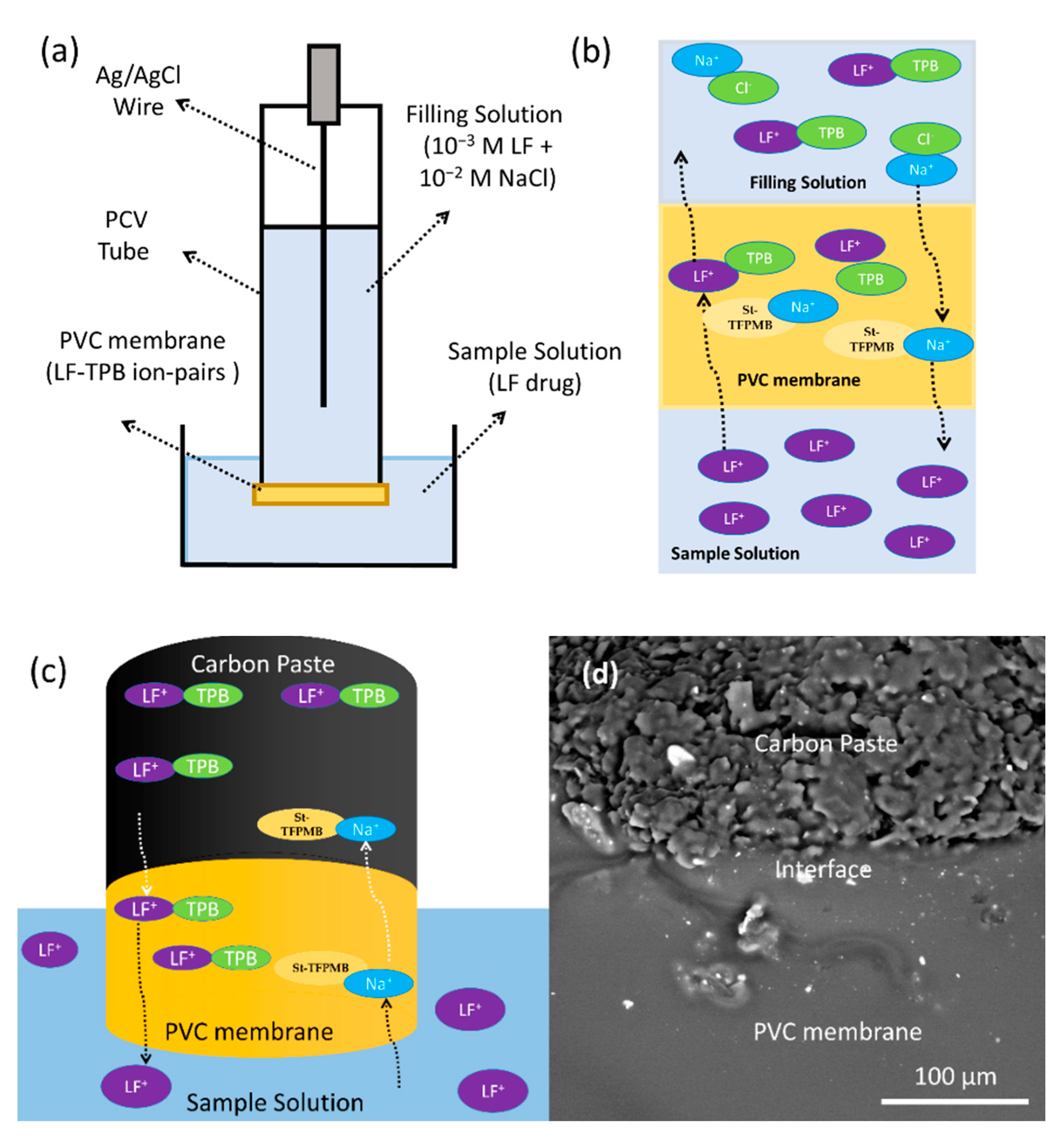 Sensors 21 03150 g003