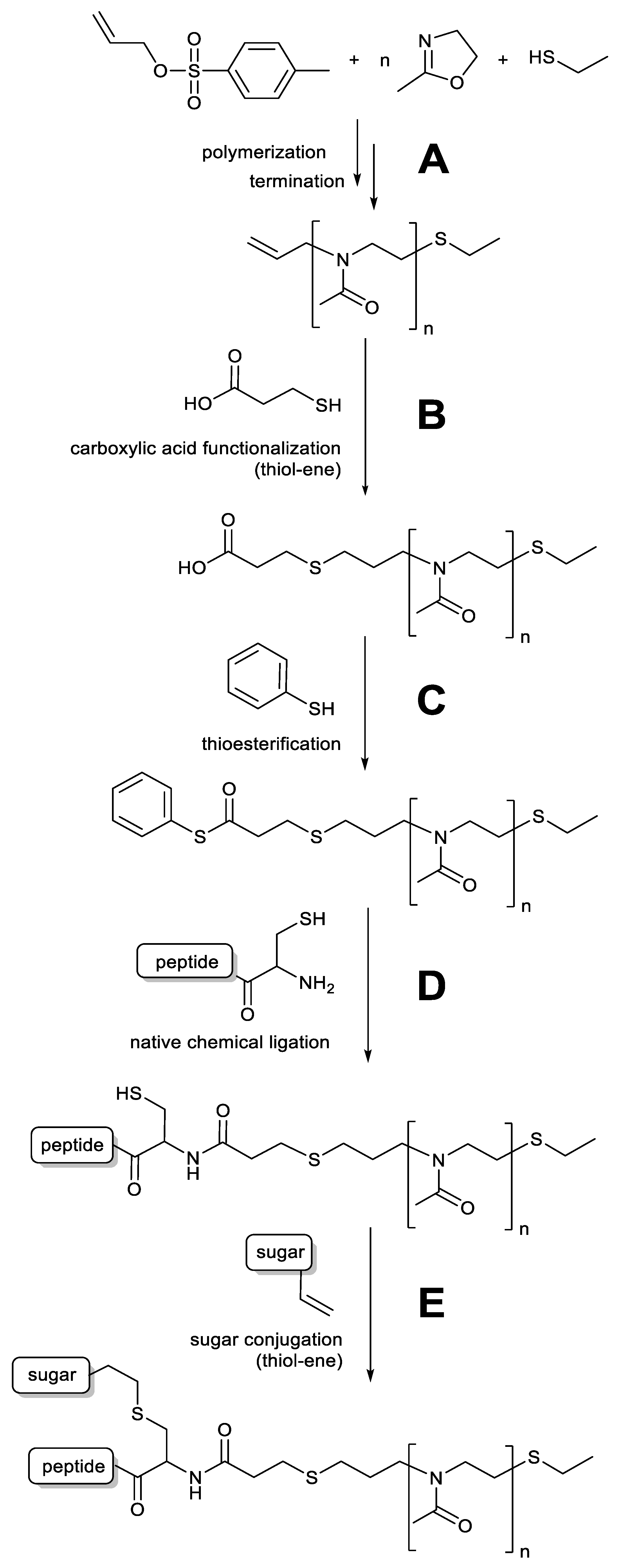 Sensors 21 03153 sch001