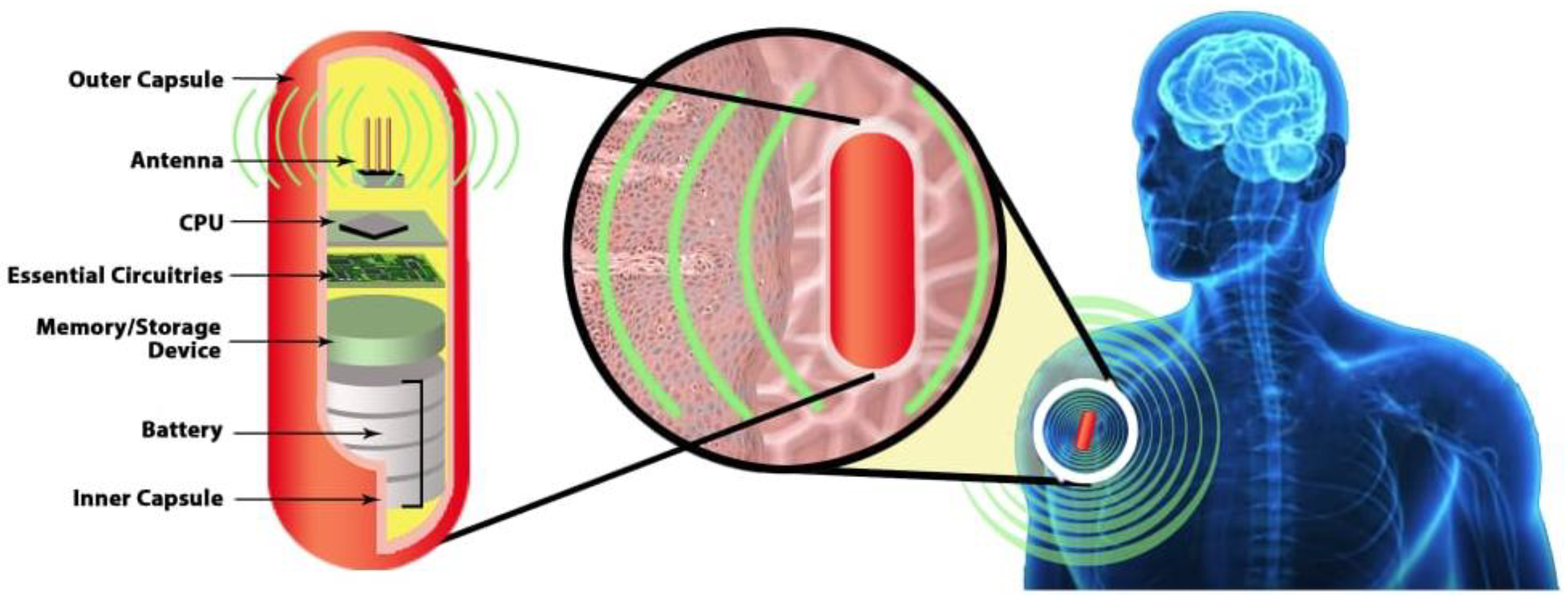 Sensors 21 03163 g004