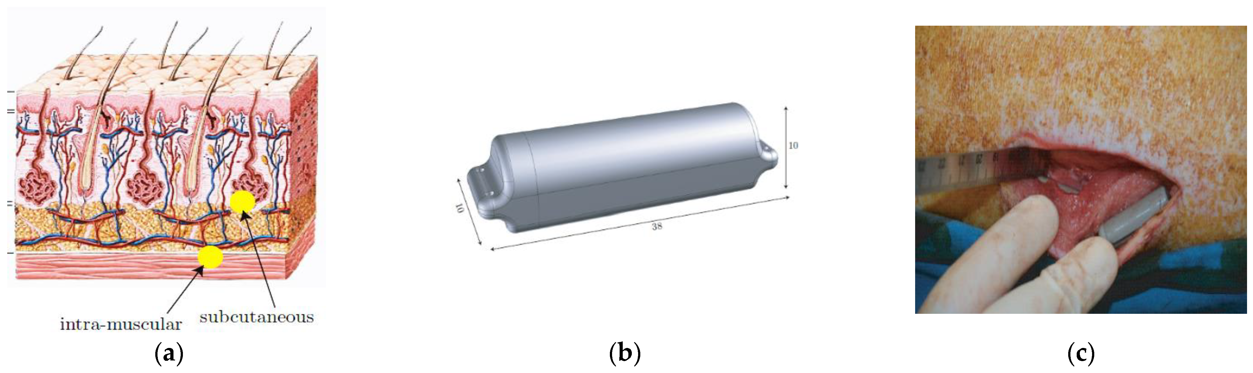 Sensors 21 03163 g023