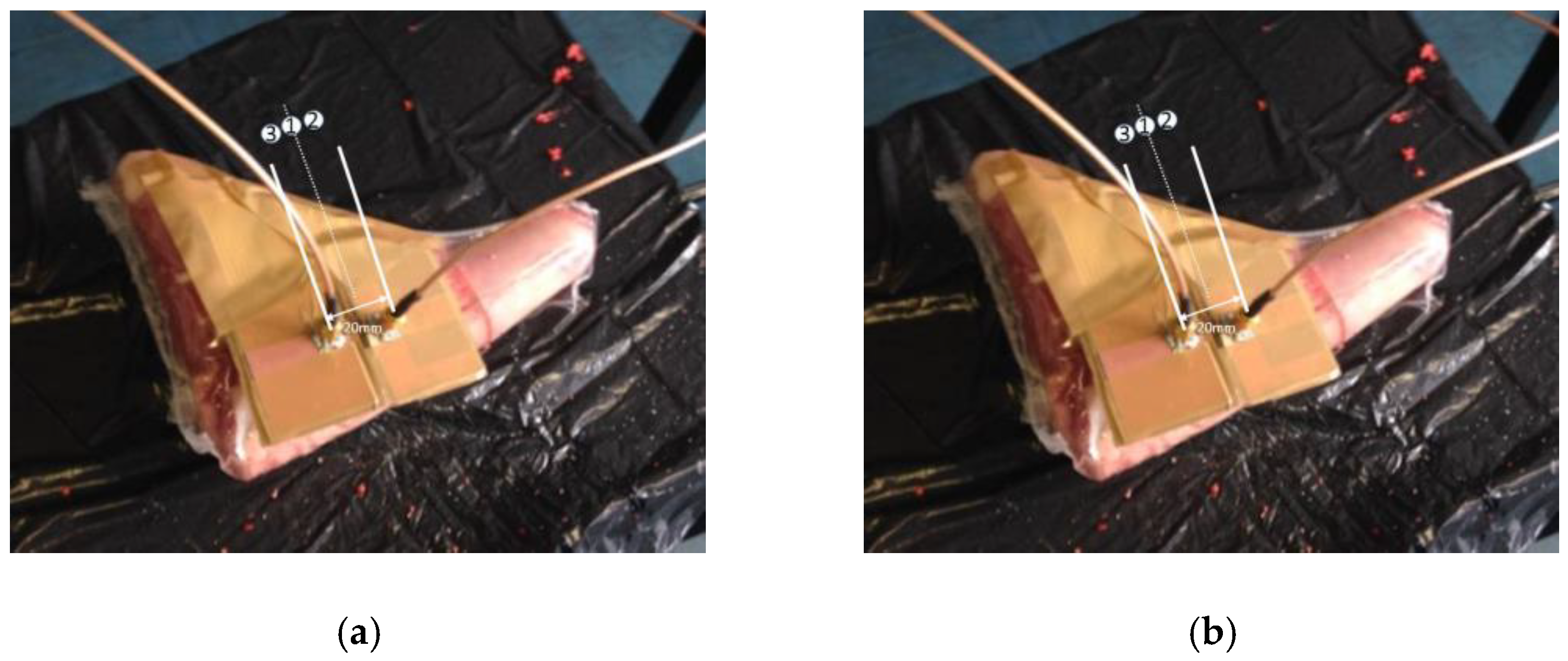 Sensors 21 03163 g024