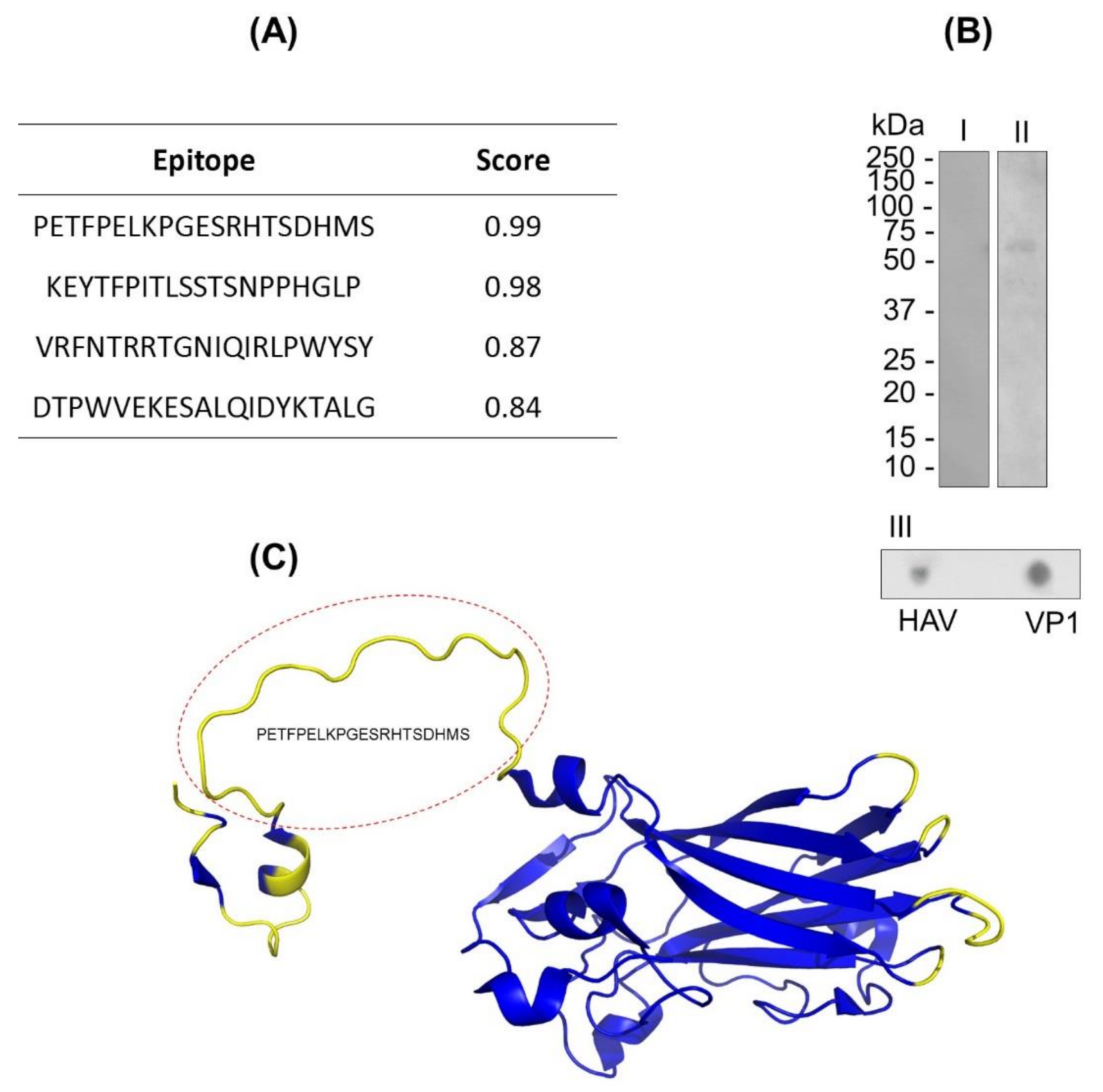 Sensors 21 03167 g001