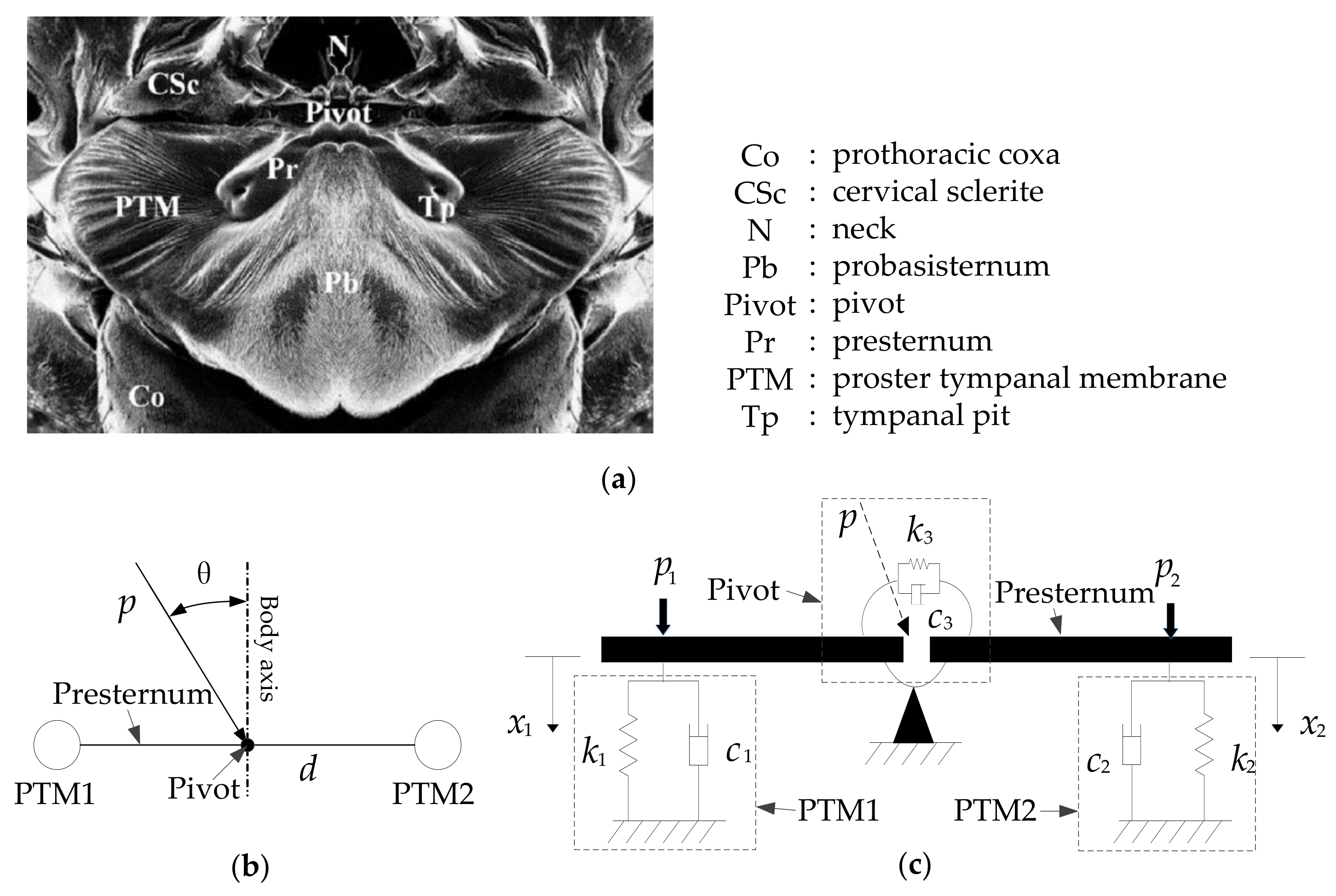 Sensors 21 03168 g002