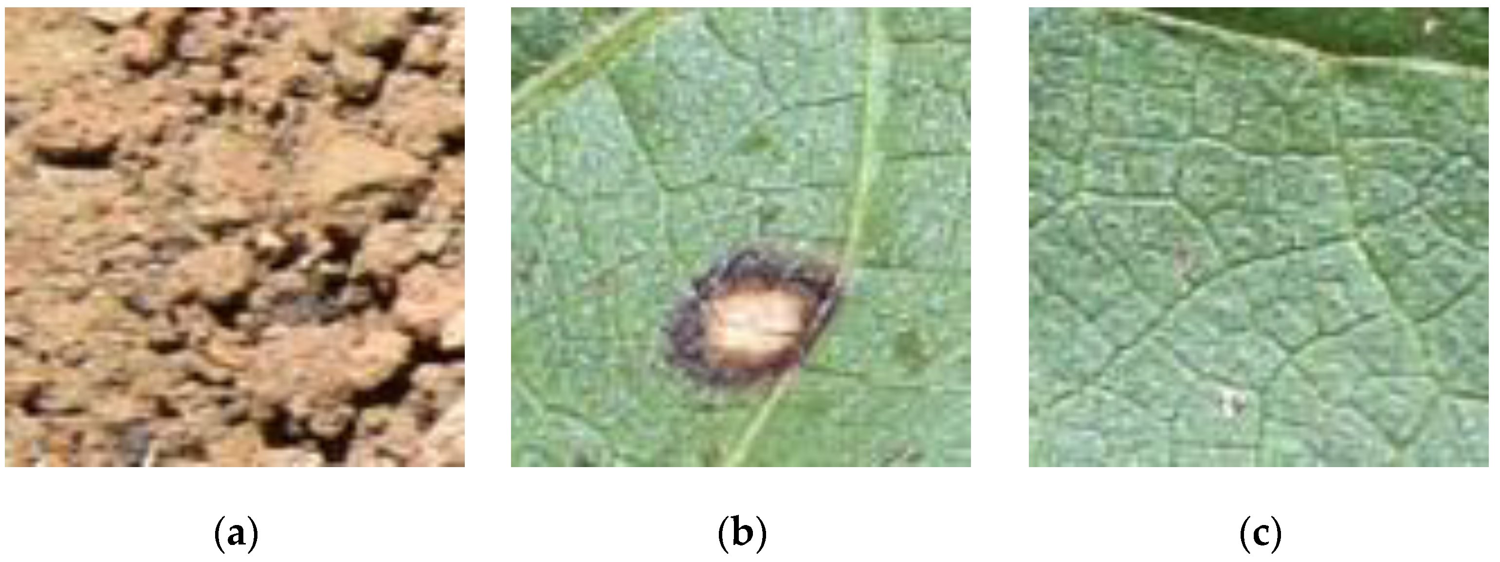 Sensors 21 03169 g001 Sensors 21 03169 g001