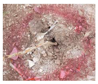 Sensors 21 03175 i001