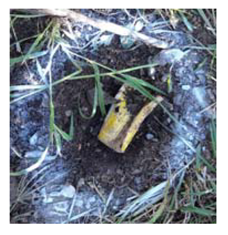 Sensors 21 03175 i004