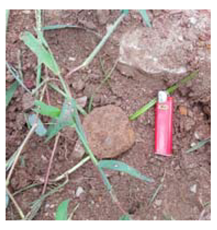 Sensors 21 03175 i005