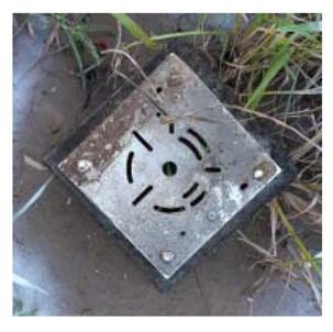 Sensors 21 03175 i006