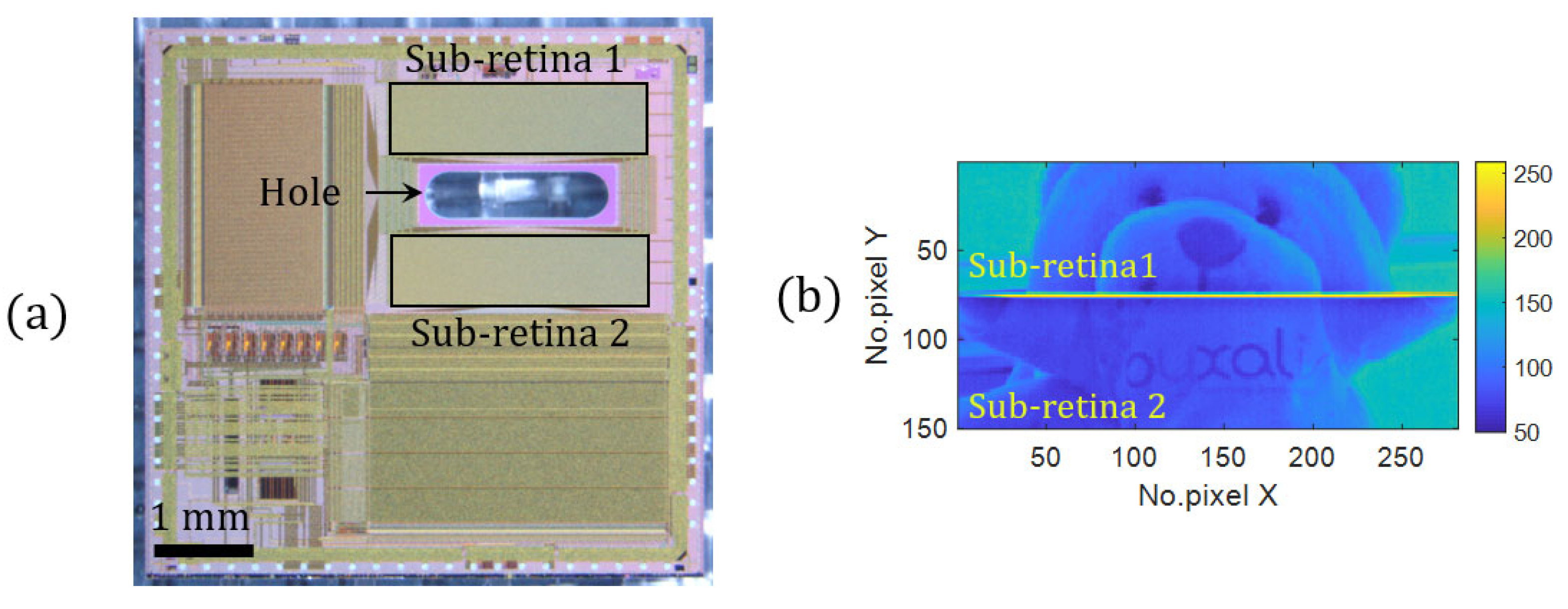 Sensors 21 03181 g002