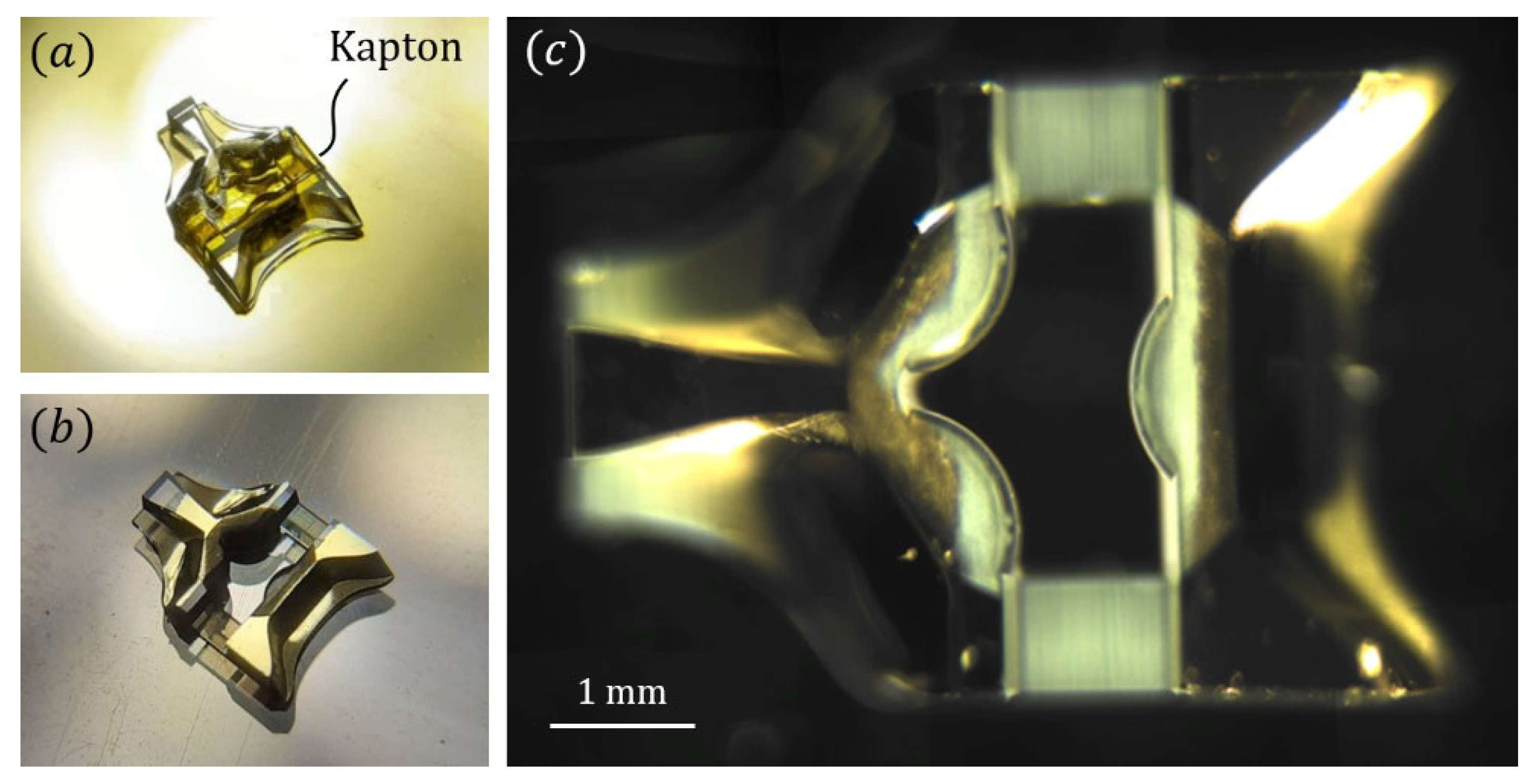 Sensors 21 03181 g013
