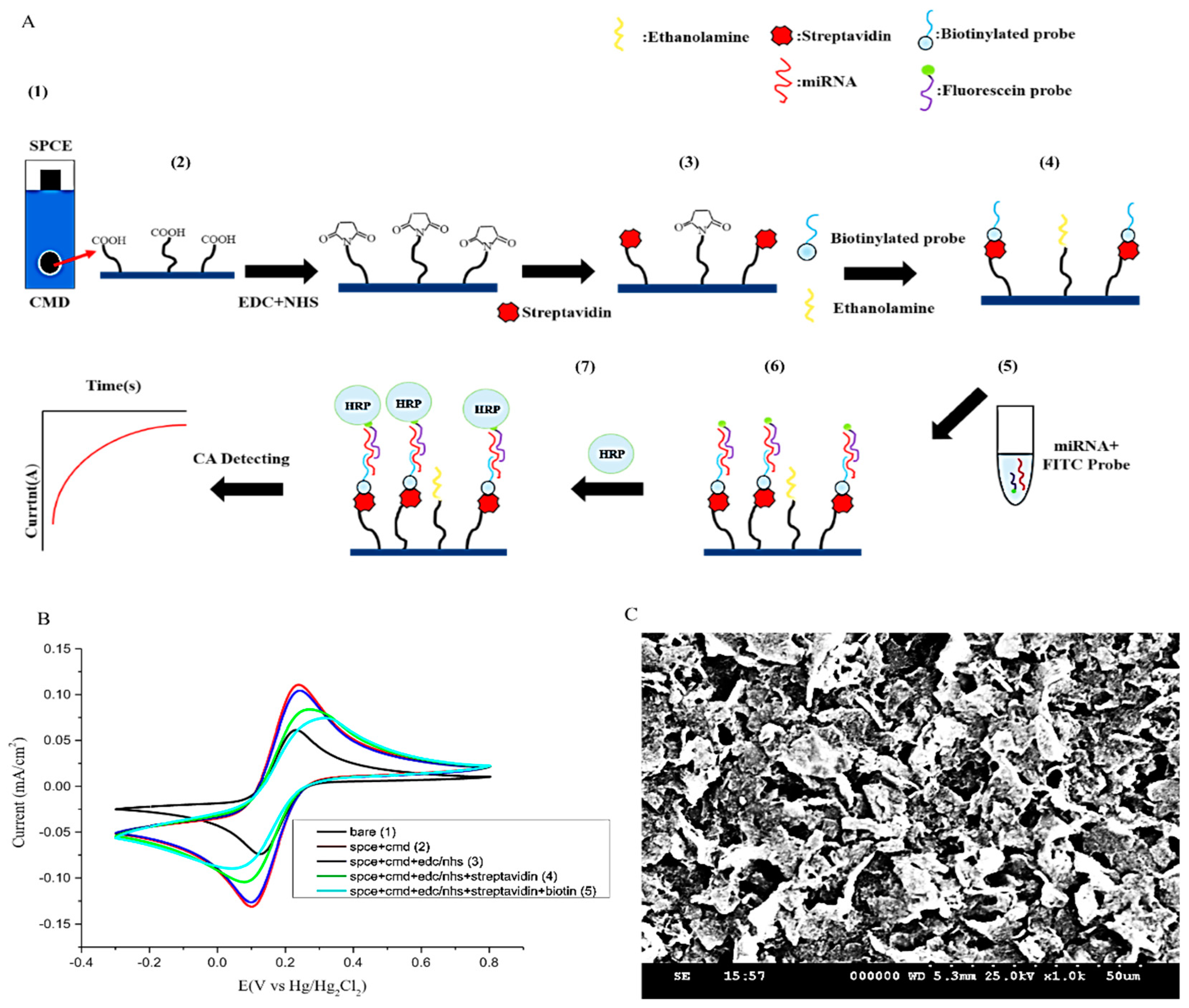 Sensors 21 03183 g001