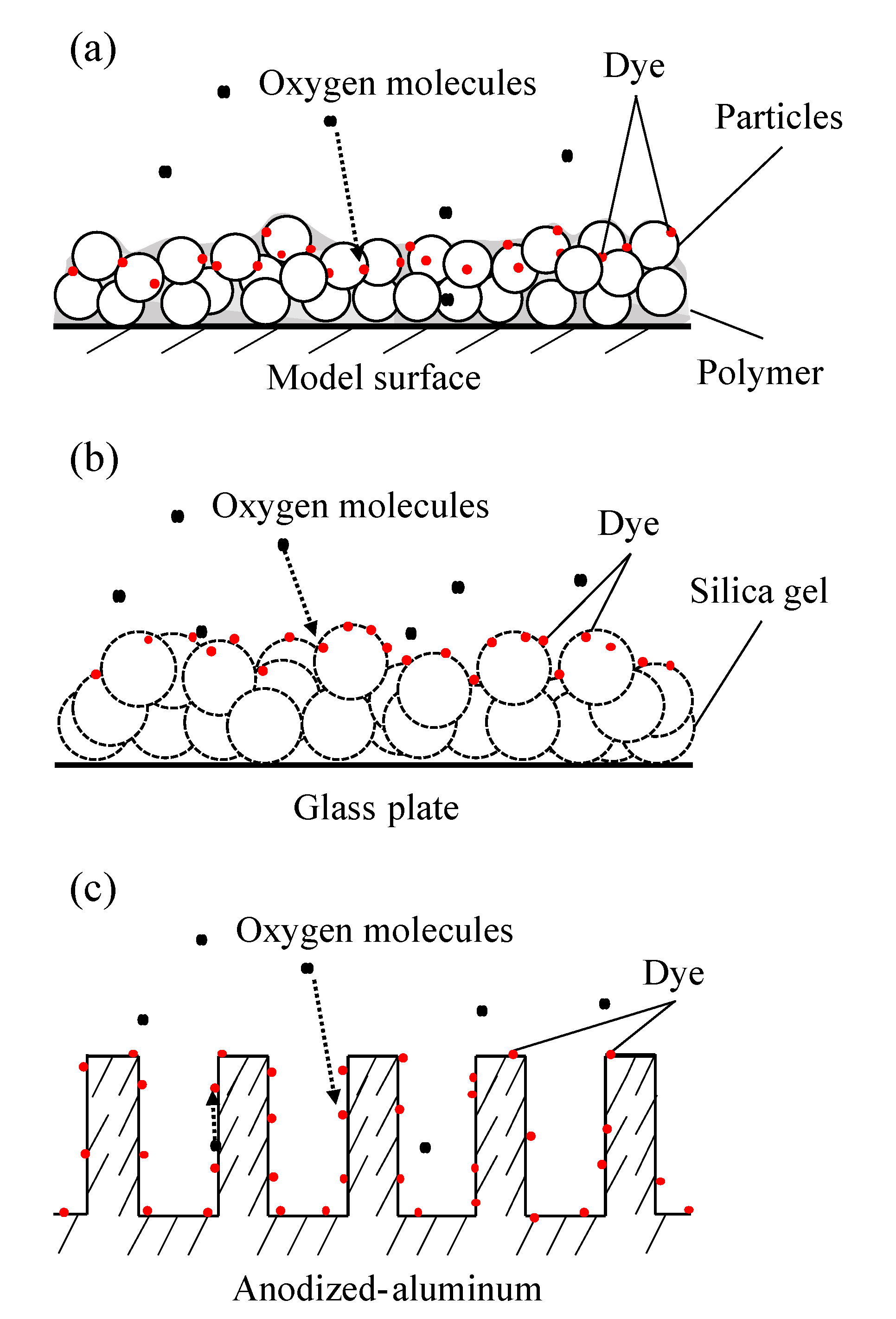 Sensors 21 03187 g001