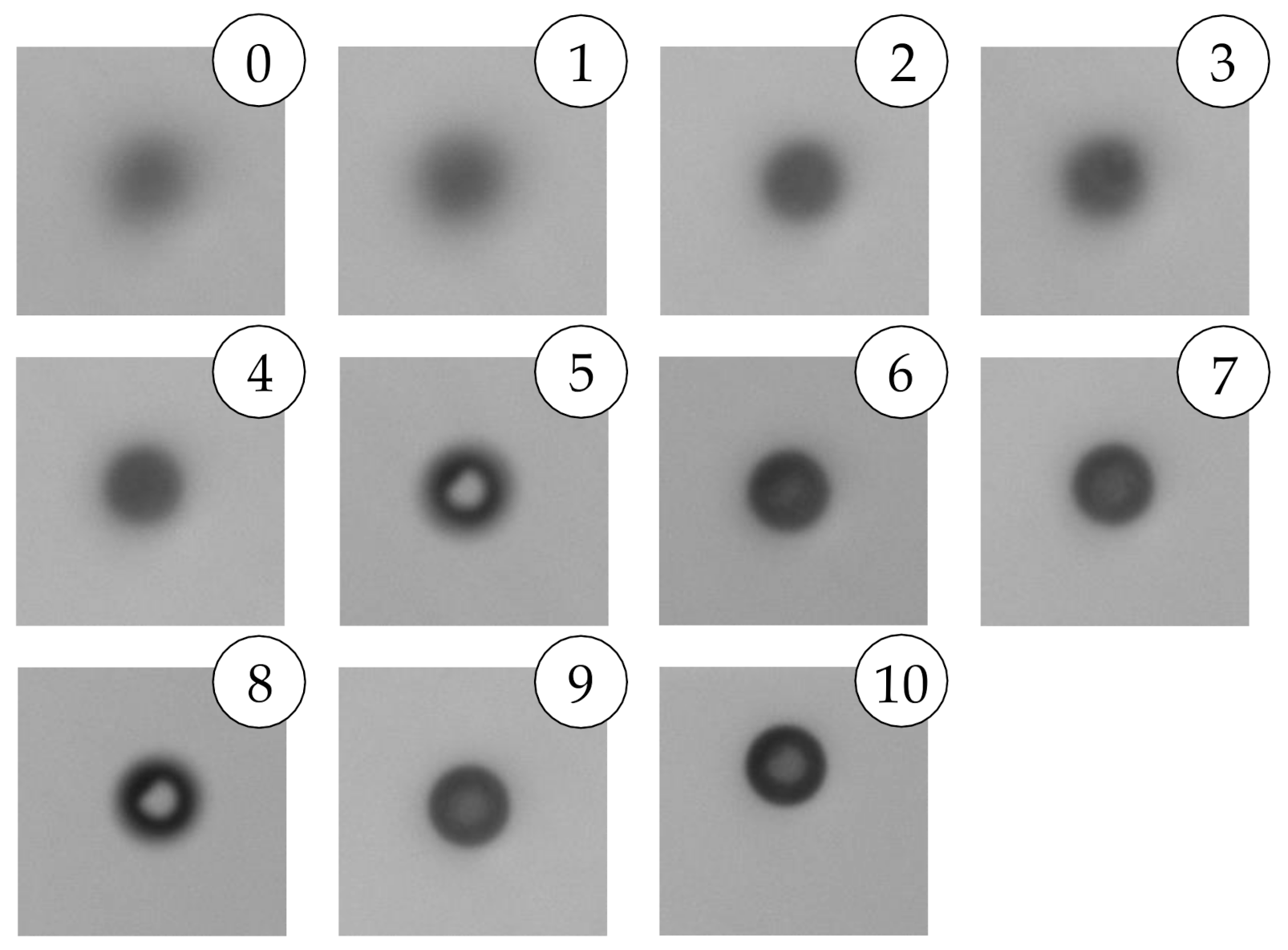 Sensors 21 03192 g006