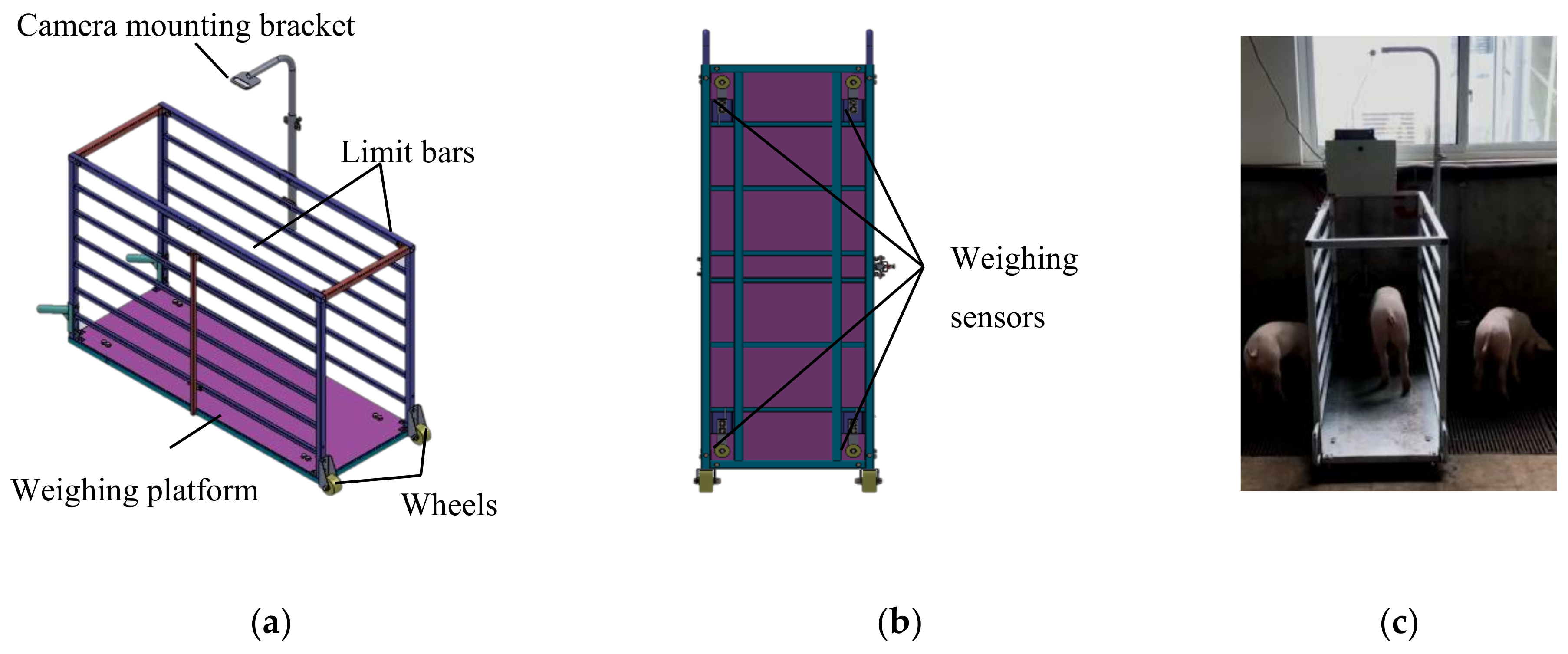 Sensors 21 03218 g001