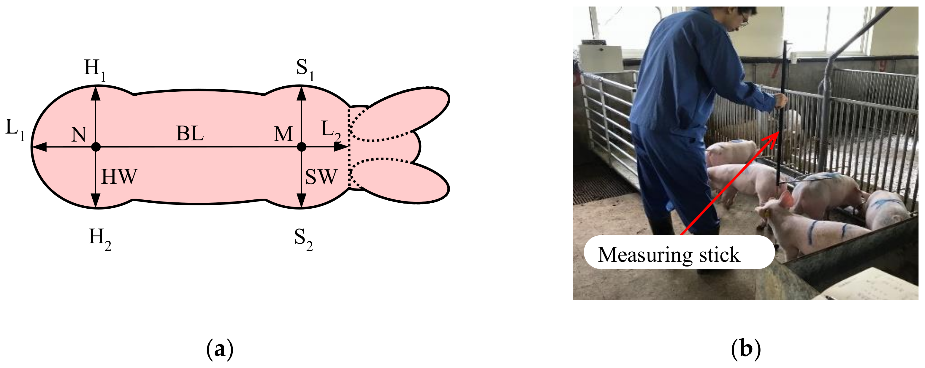 Sensors 21 03218 g003