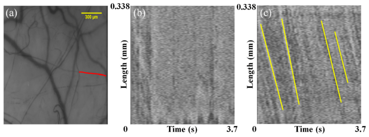 Sensors 21 03224 g008