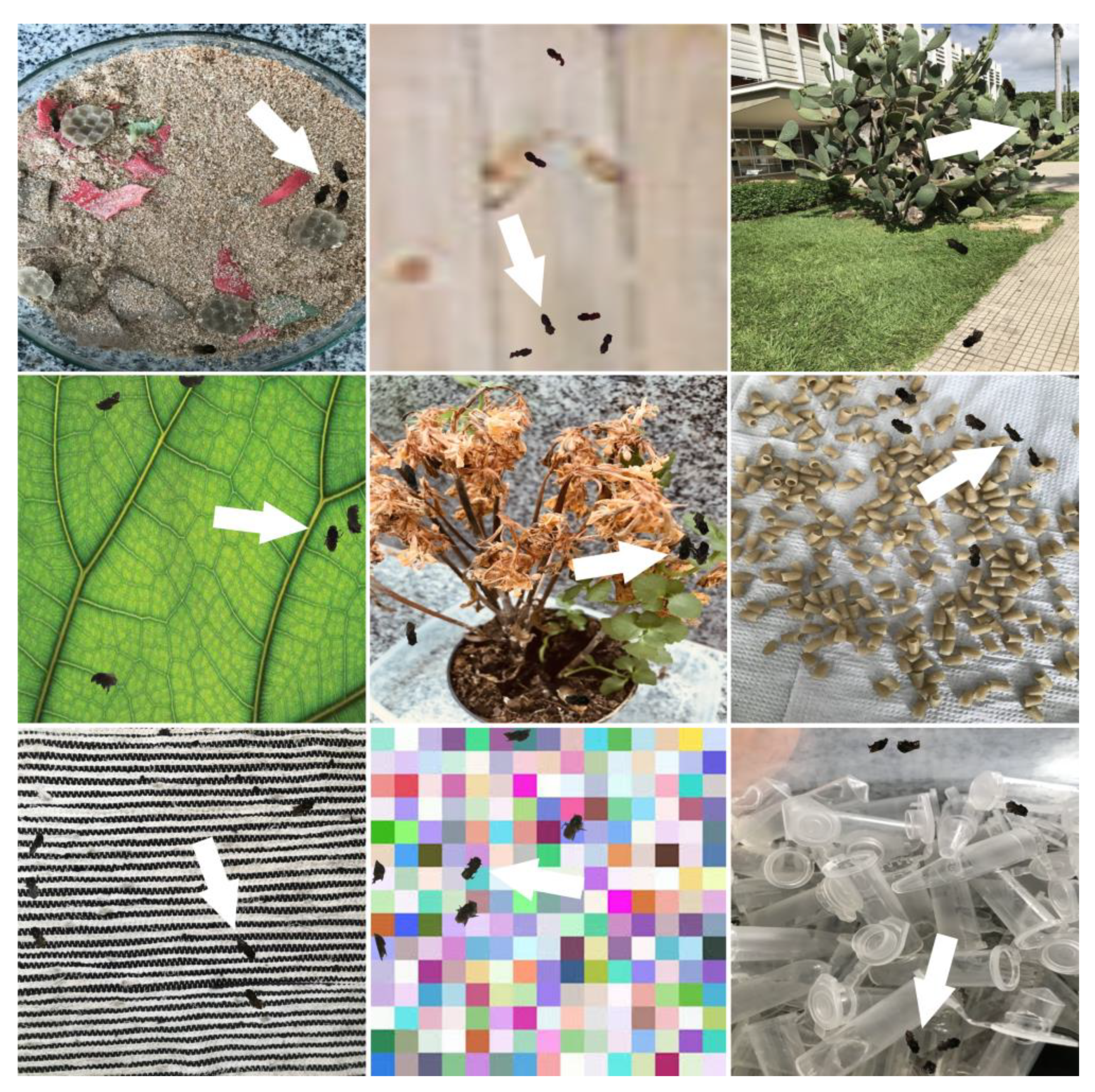 Sensors 21 03237 g004