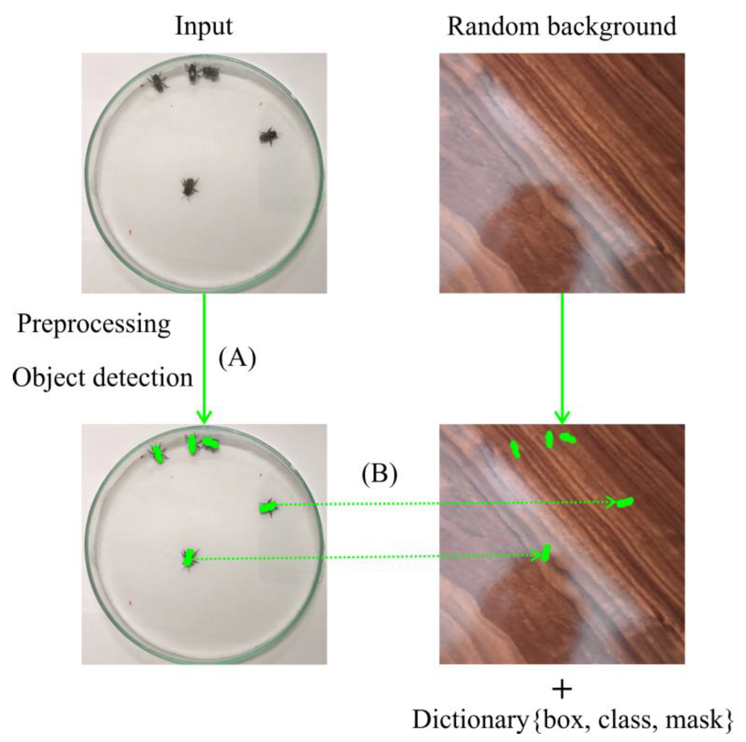 Sensors 21 03237 g005