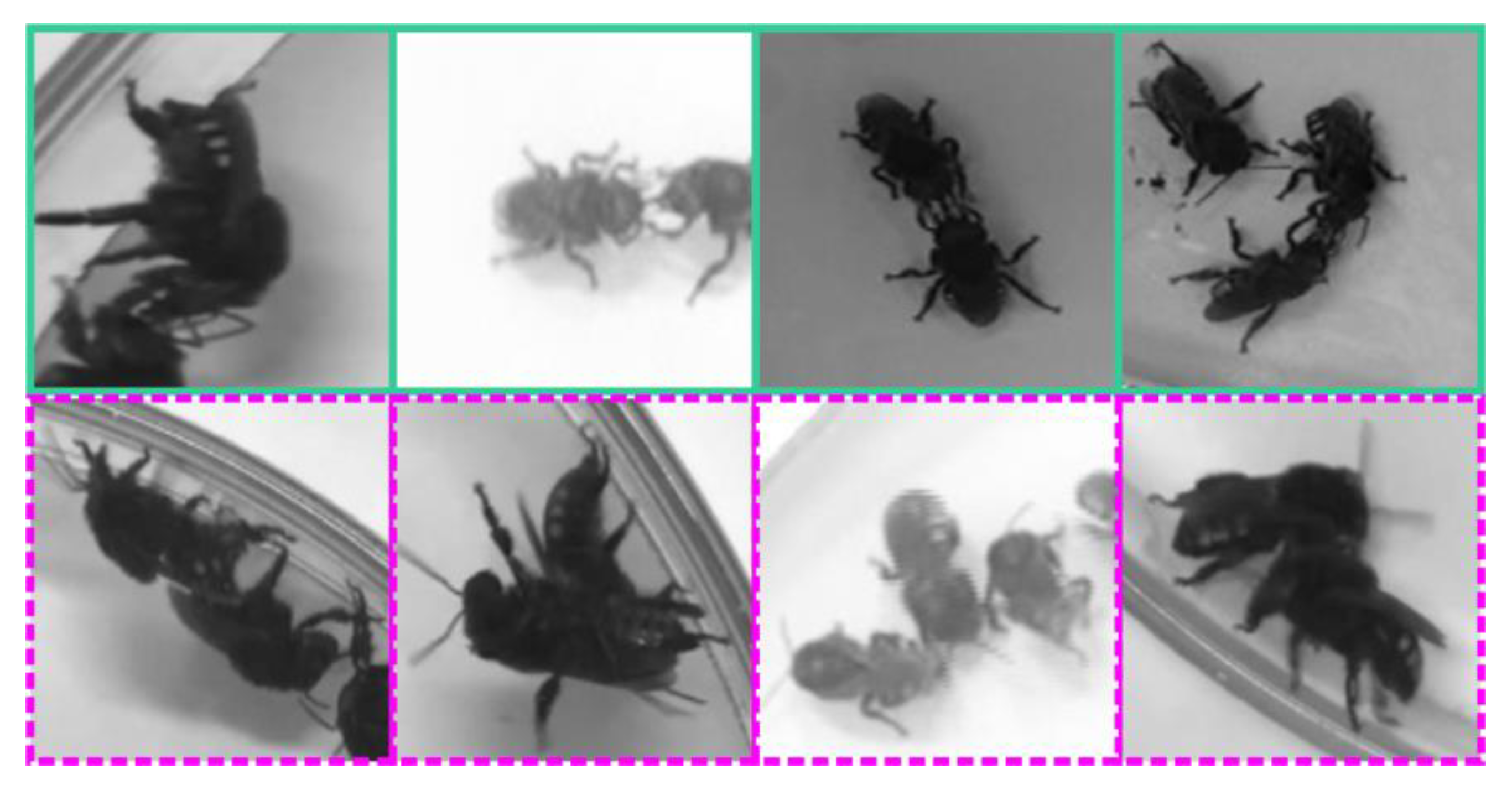 Sensors 21 03237 g006