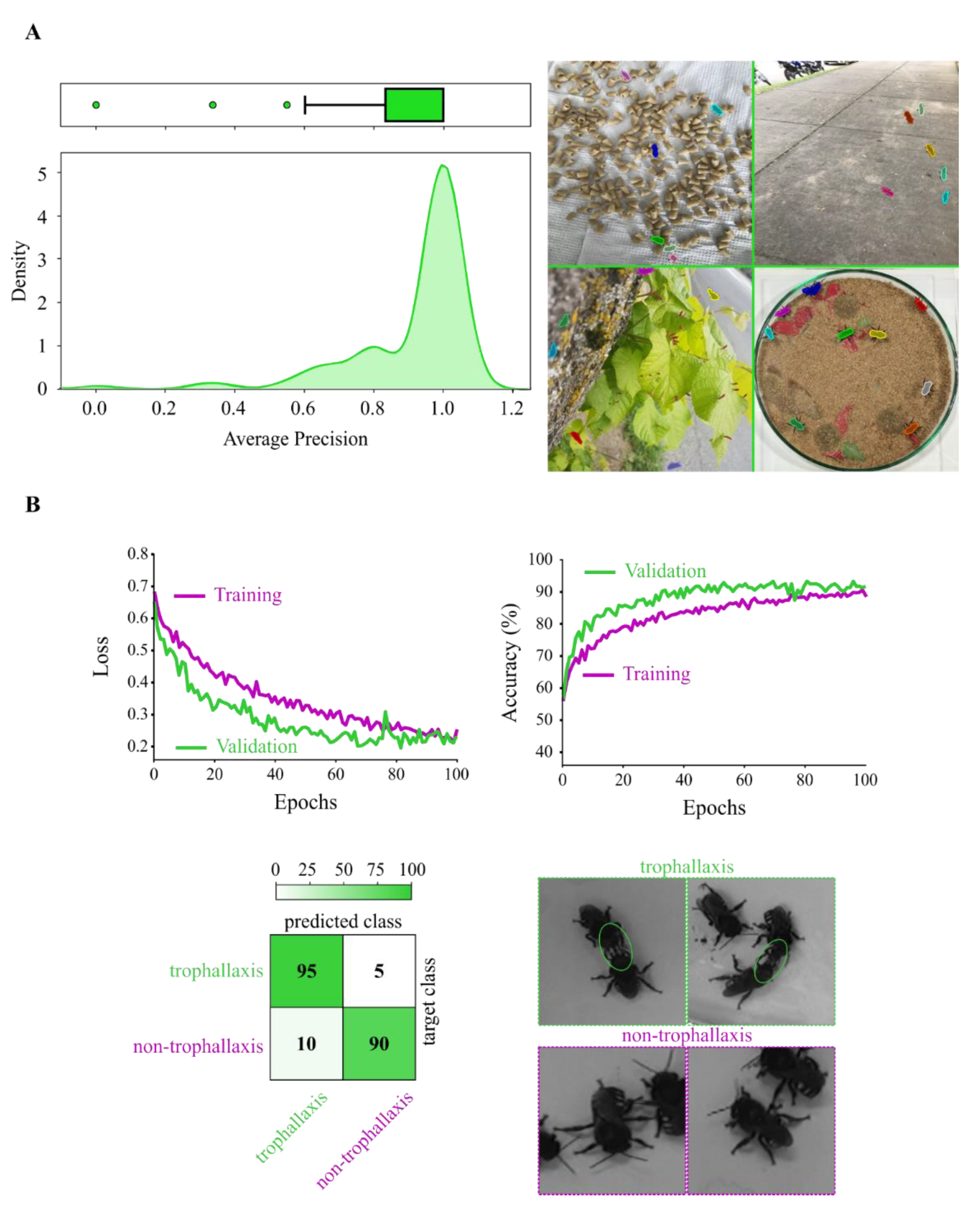 Sensors 21 03237 g007